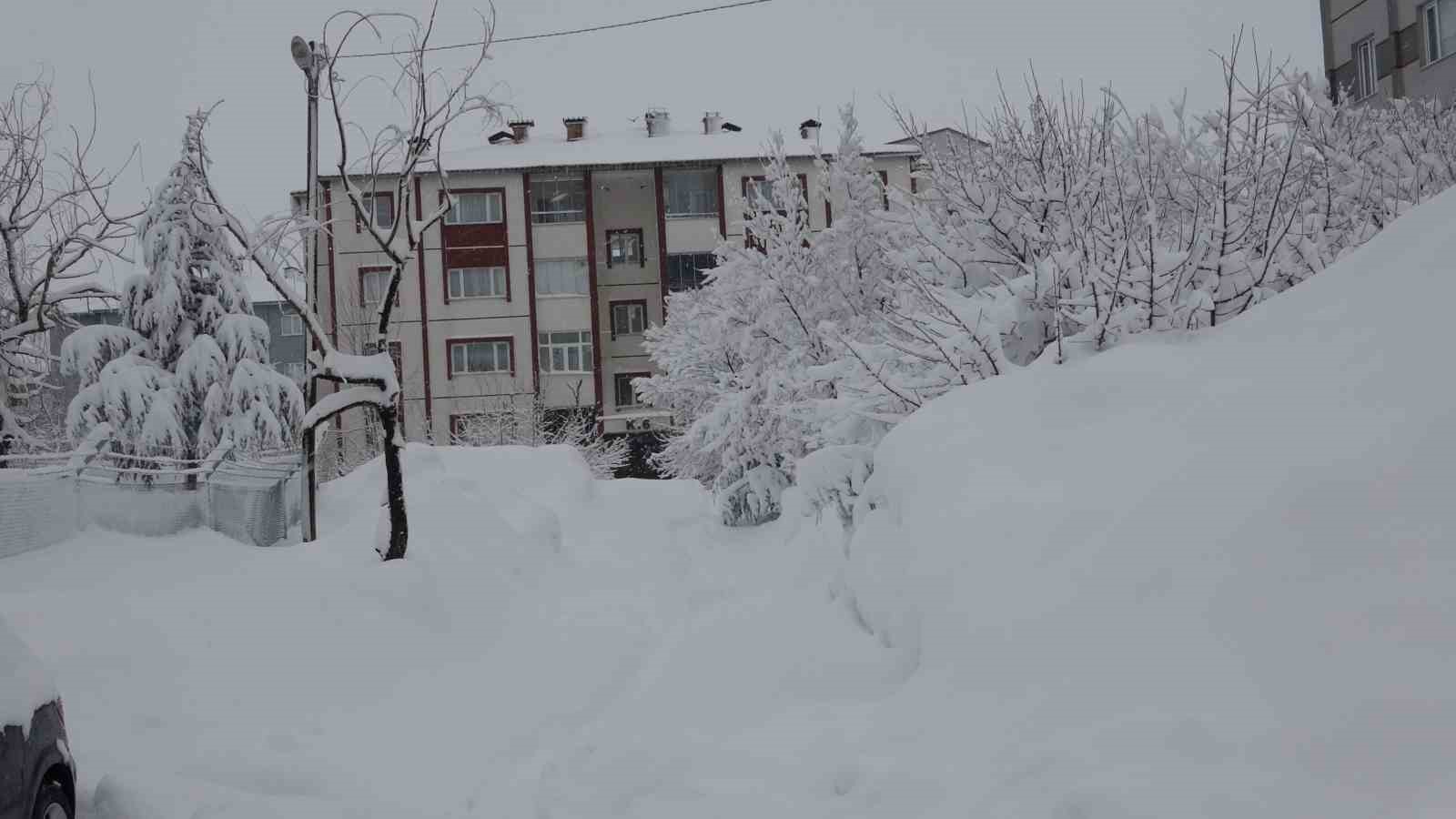 Bitlis’te kar yağışı yeniden etkili oldu