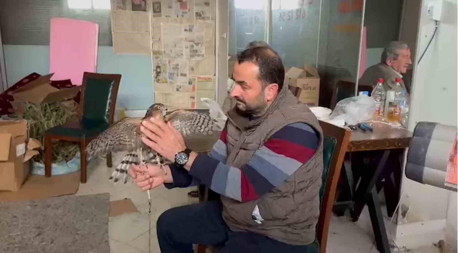 Atmacacılığın serüveni