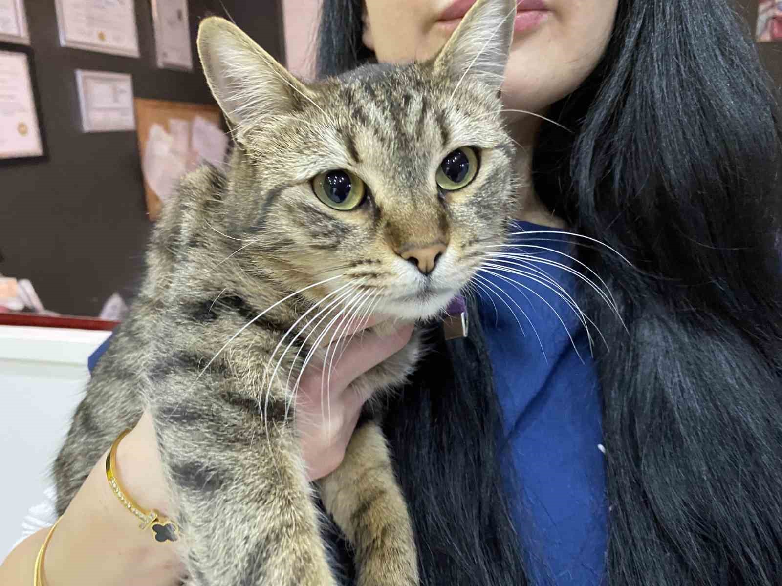 Uzman Veteriner Hekim Tuğ&ccedil;e Kara: "T&uuml;y&uuml; var &uuml;ş&uuml;mez inancı yanlış"
