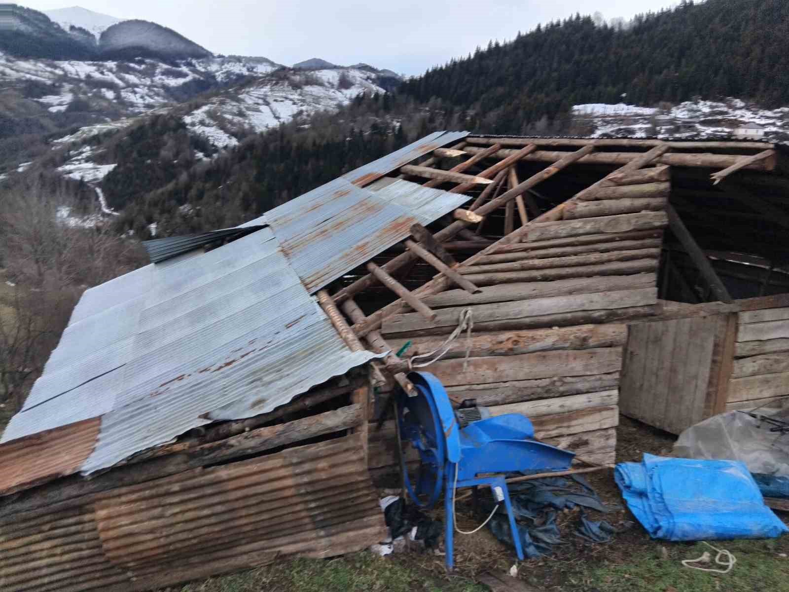 Giresun’da fırtınada bazı seralar ve yayla evleri hasar gördü