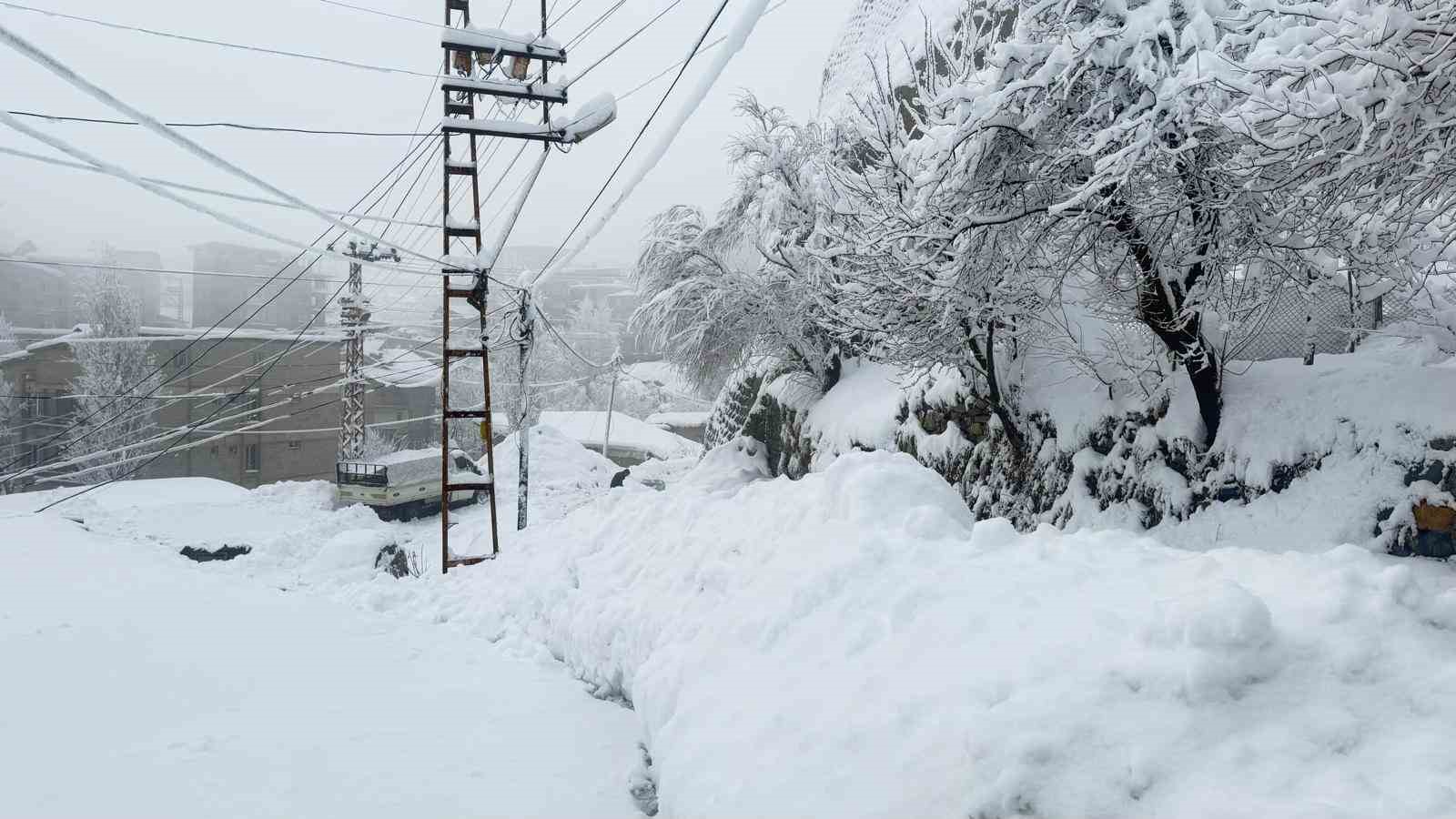 Hakkari&rsquo;de 310 yerleşim yeri ulaşıma a&ccedil;ıldı
