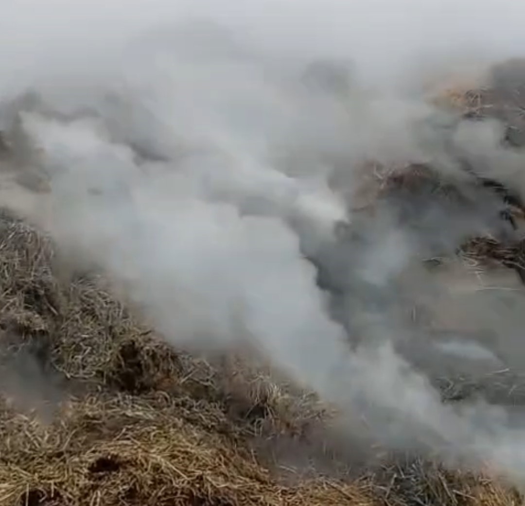 Adana’da samanlık yangını kontrol altına alındı