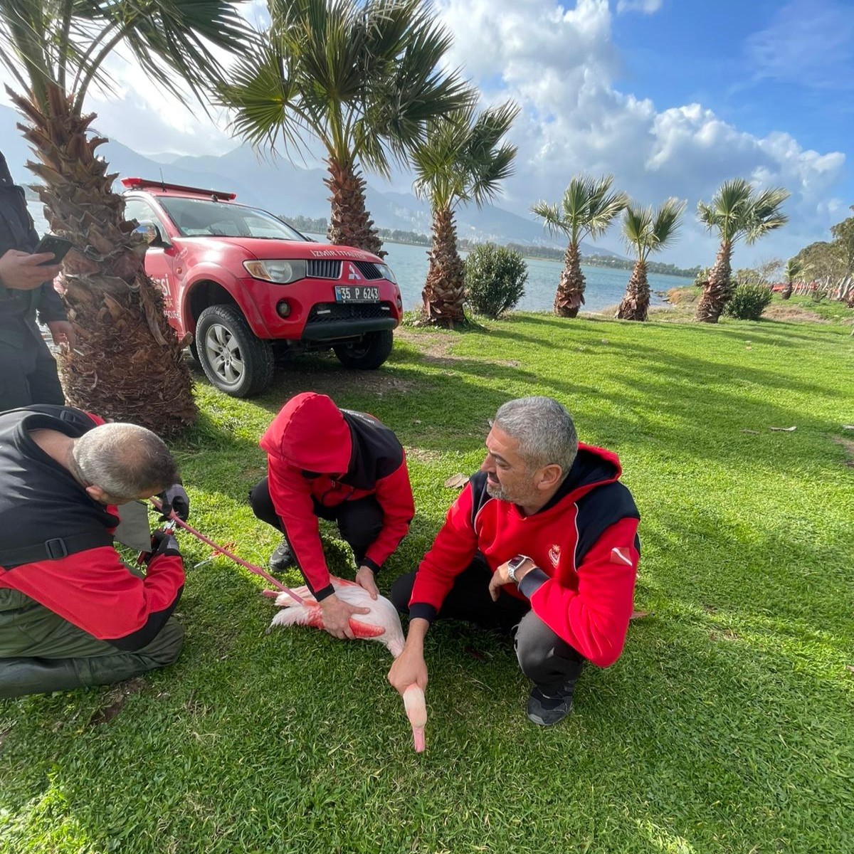 Misina tuzağından &ouml;zg&uuml;rl&uuml;ğe
