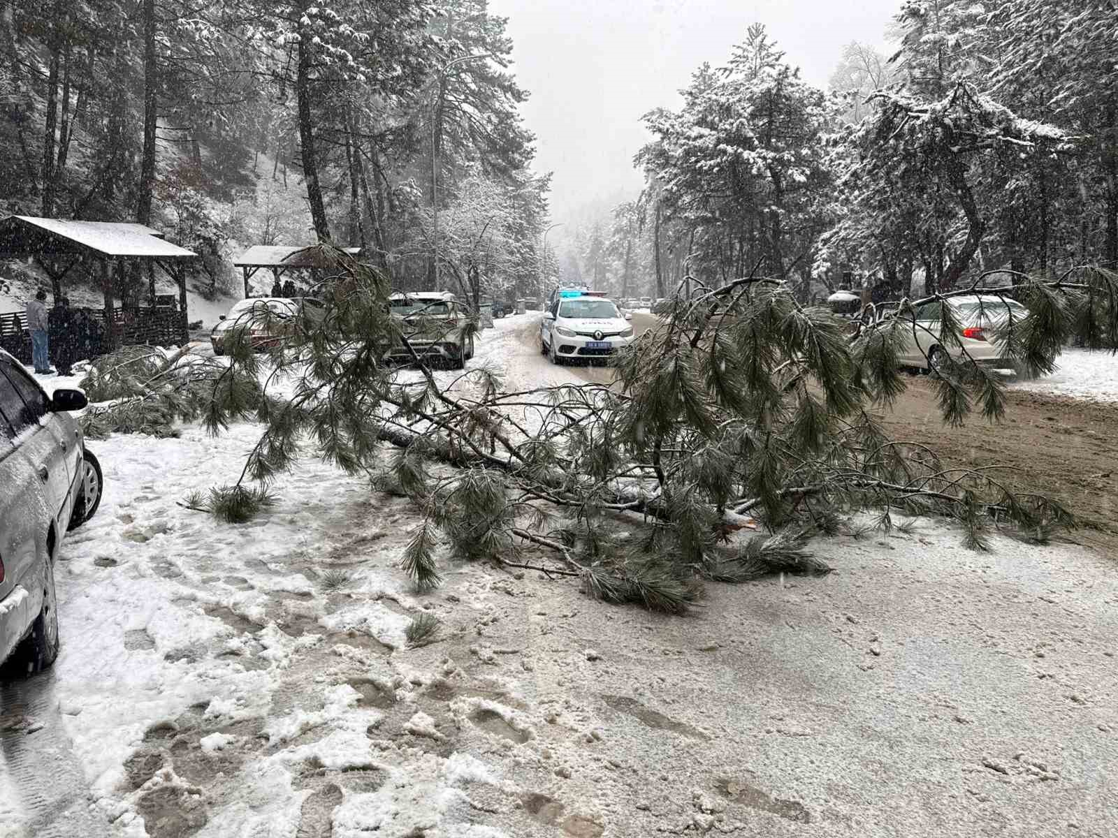 Ankara&rsquo;da karın ağırlığına dayanamayan &ccedil;am ağacı devrildi
