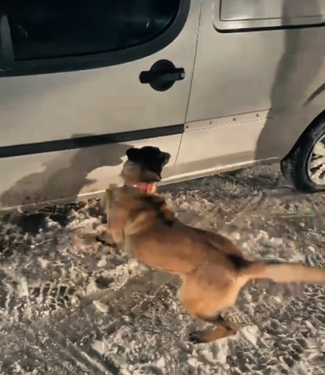 Y&uuml;ksekova&rsquo;da 30 kilo Skunk ele ge&ccedil;irildi: 2 ş&uuml;pheli g&ouml;zaltında
