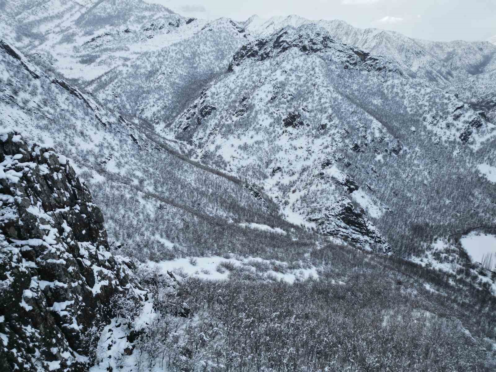 Karla birlikte meşe ormanı beyaza büründü