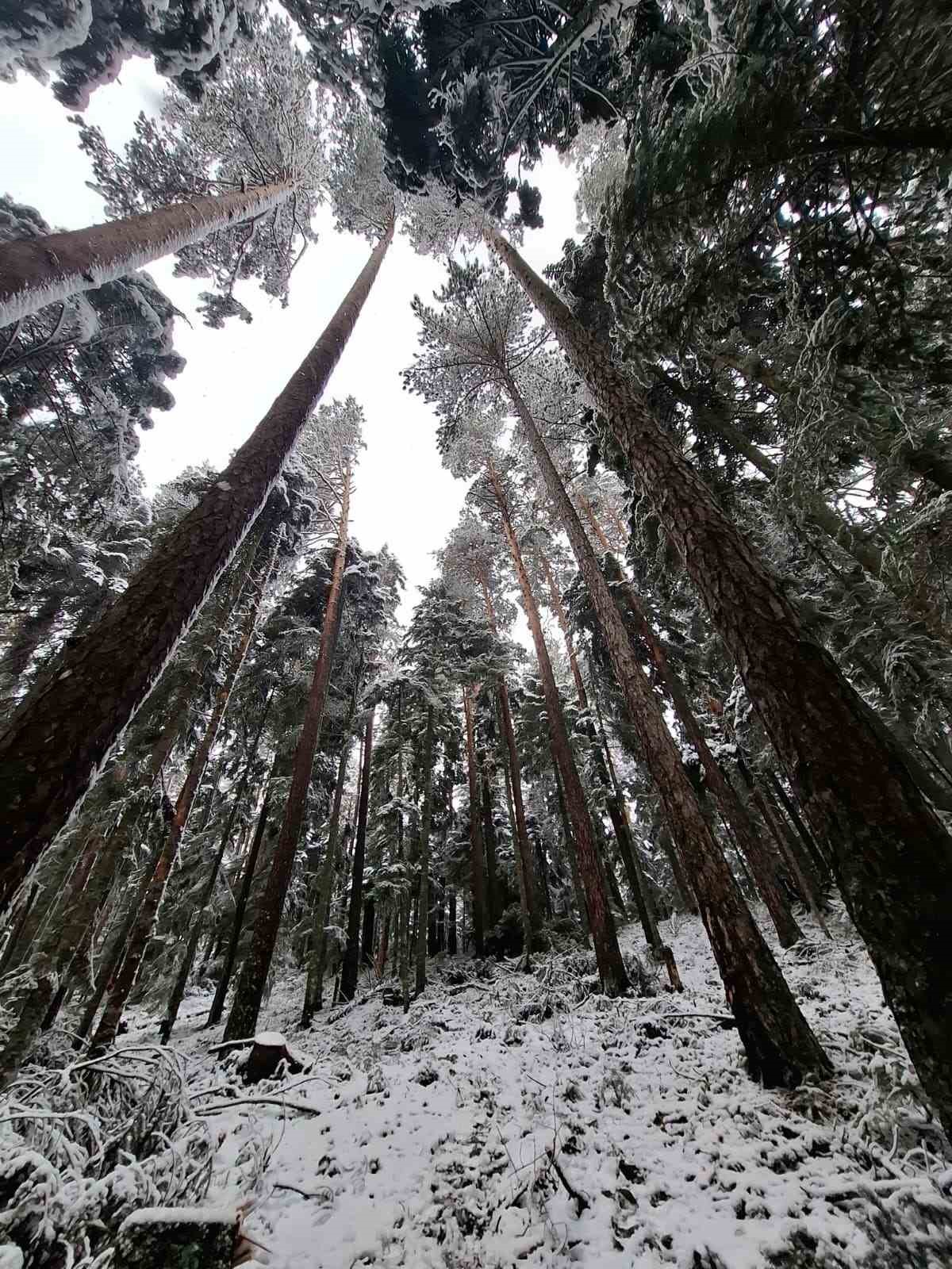 ESDAG &uuml;yeleri 30 kilometrelik zorlu orman parkurunu geride bıraktı
