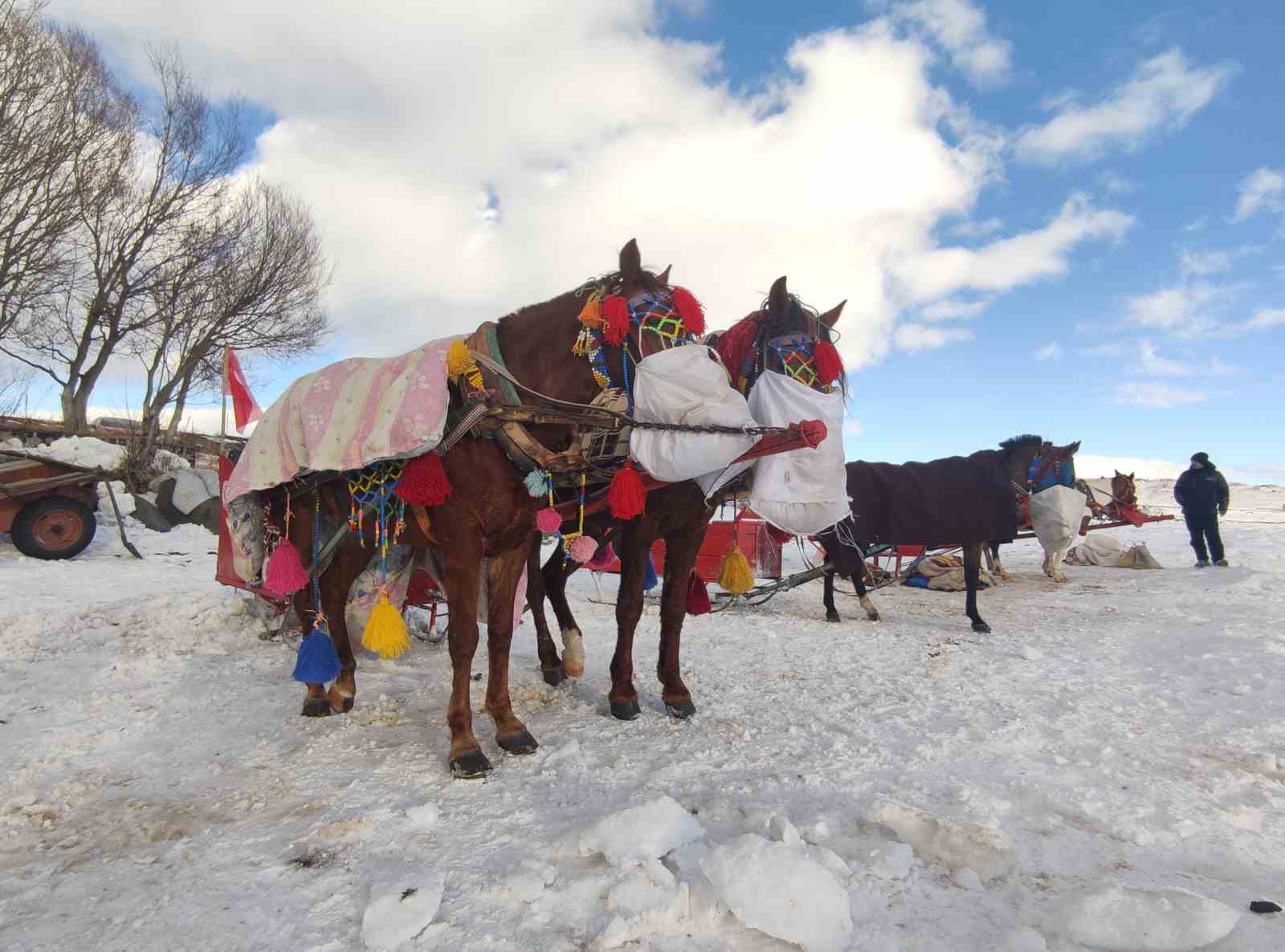 Y&uuml;zeyi buz tutan &Ccedil;ıldır G&ouml;l&uuml; misafirlerini ağırlamaya başladı
