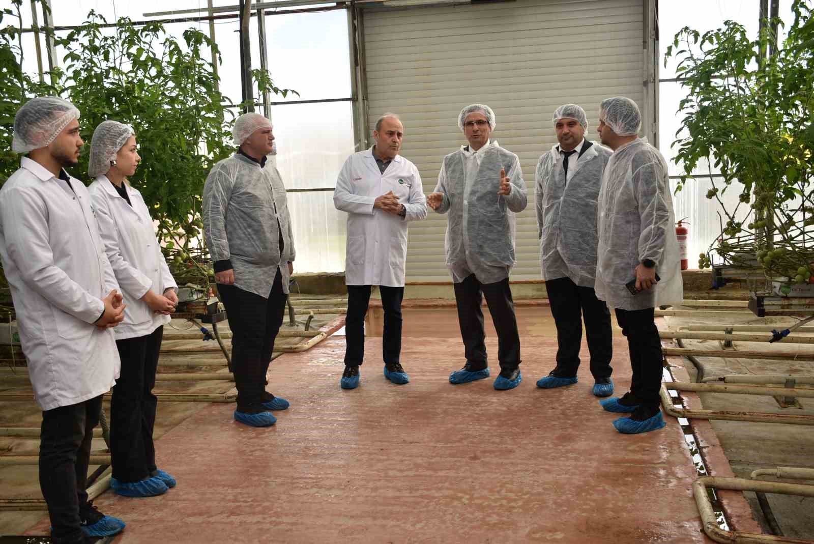 Modern sera yatırımları Salihli&rsquo;de tarımı g&uuml;&ccedil;lendiriyor
