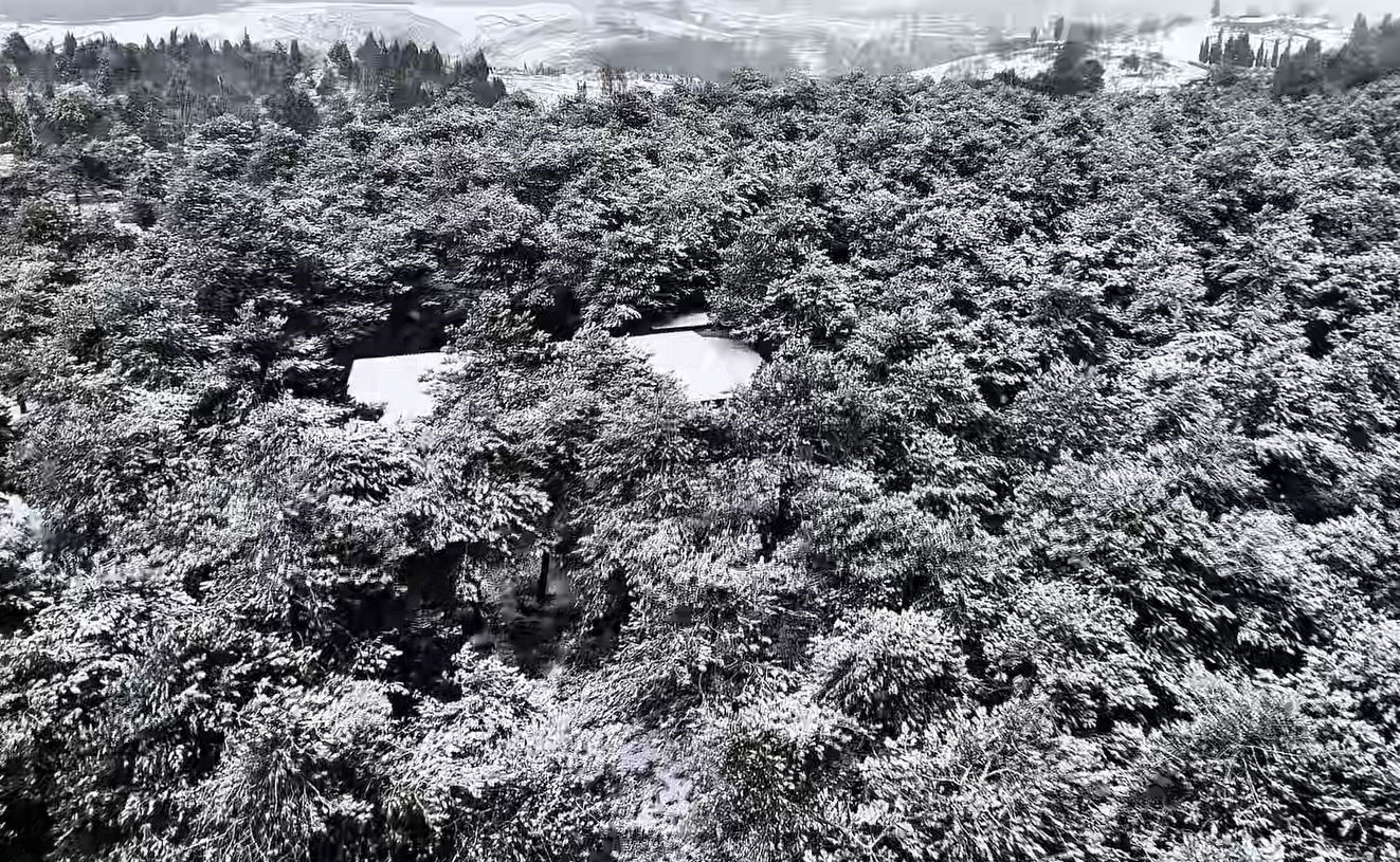 Başakşehir Şamlar Tabiat Parkı beyaza büründü