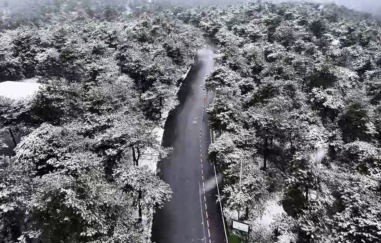 Başakşehir Şamlar Tabiat Parkı beyaza b&uuml;r&uuml;nd&uuml;
