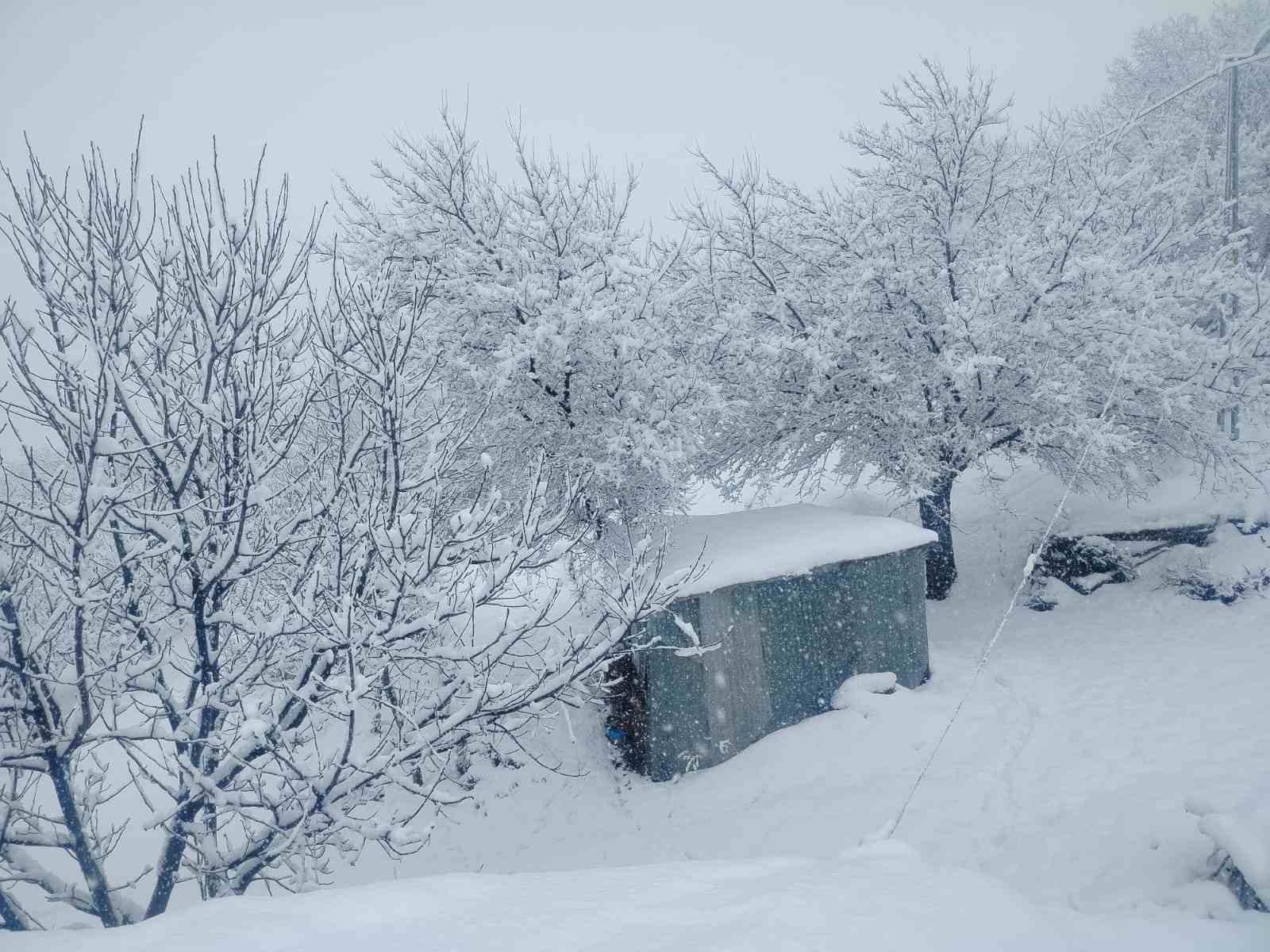Pütürge’de kar kalınlığı 1 metreye yaklaştı