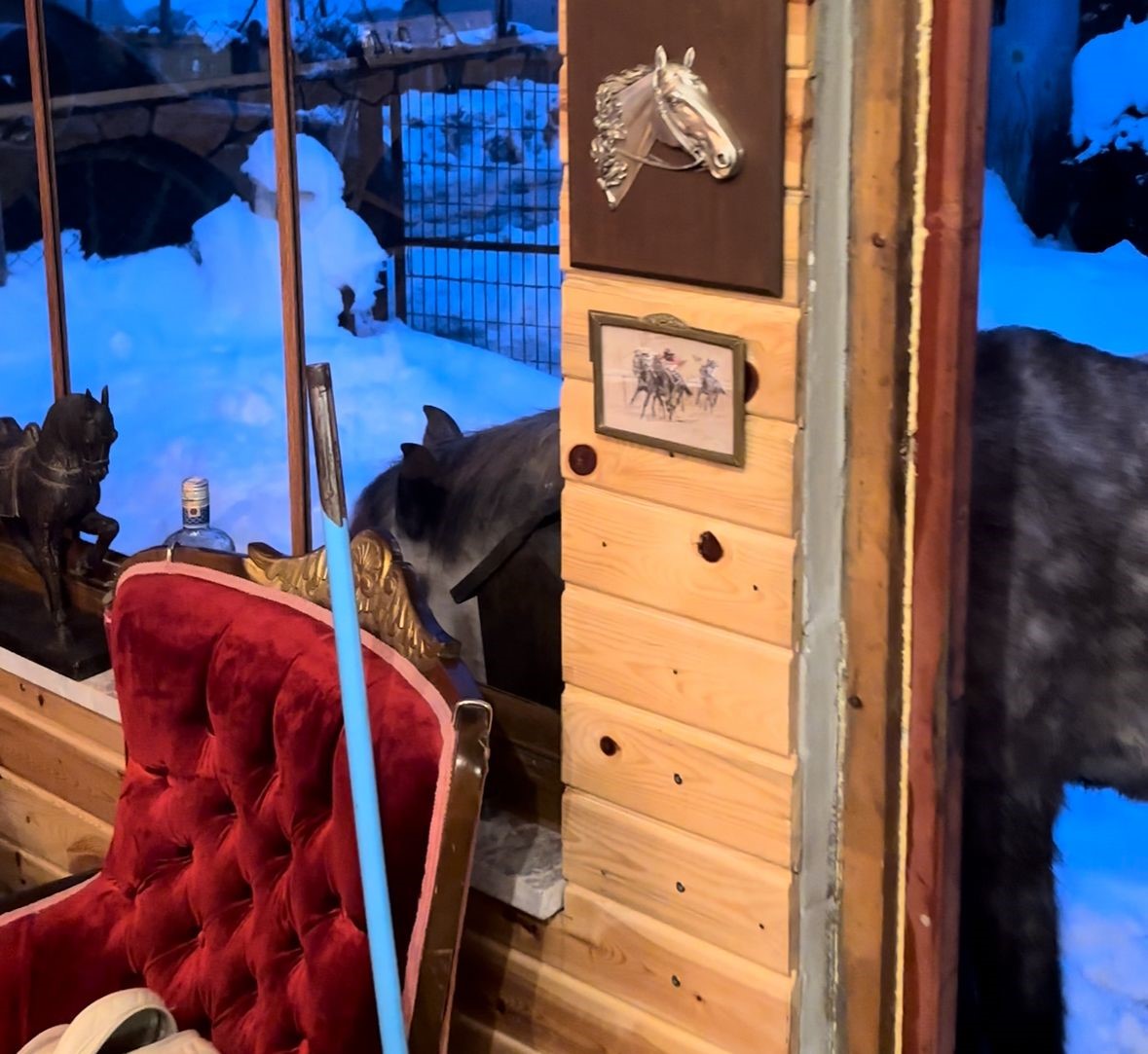 Yabani yılkı atları evine kadar geldi, ortaya samimi anlar çıktı: "Hoş geldiniz"