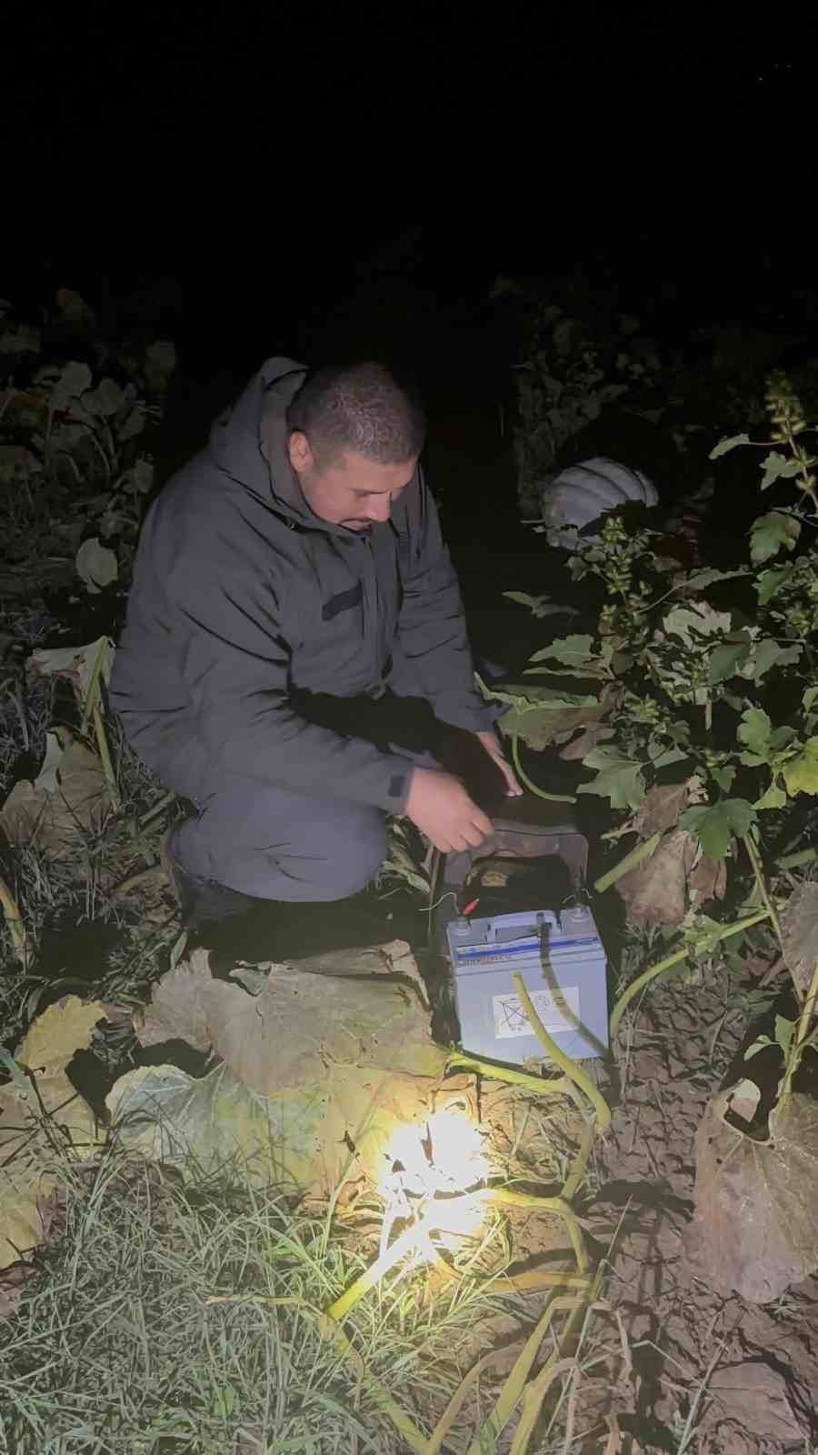 D&uuml;zce&rsquo;de kanunsuz ava ge&ccedil;it yok
