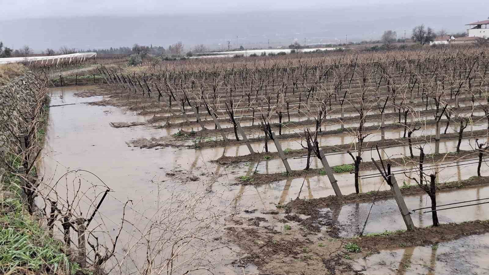 Yağmurlar bağcıların y&uuml;z&uuml;n&uuml; g&uuml;ld&uuml;rd&uuml;
