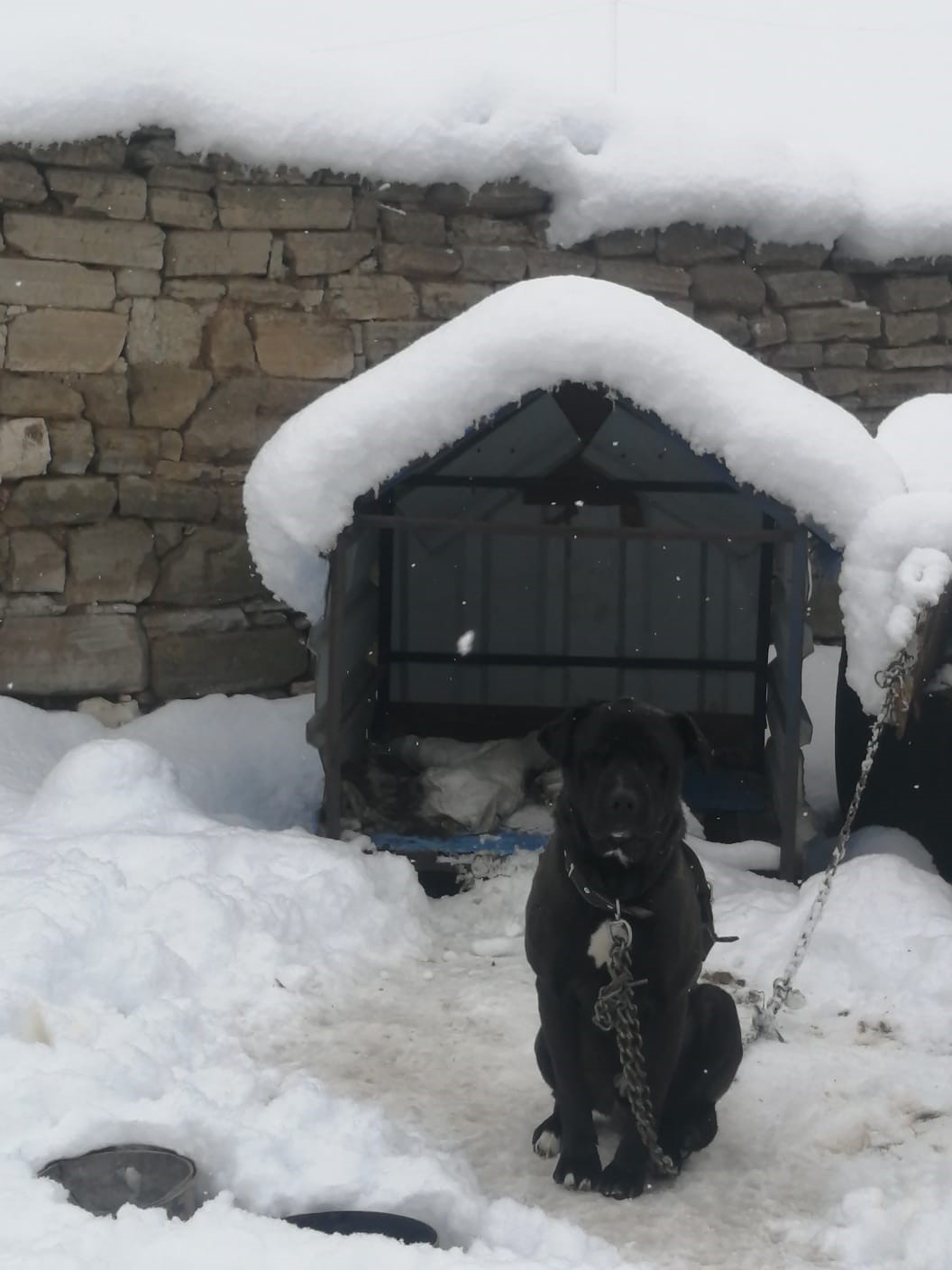 Ş&uuml;kranlı&rsquo;da kar kalınlığı 35 santimetreyi ge&ccedil;ti
