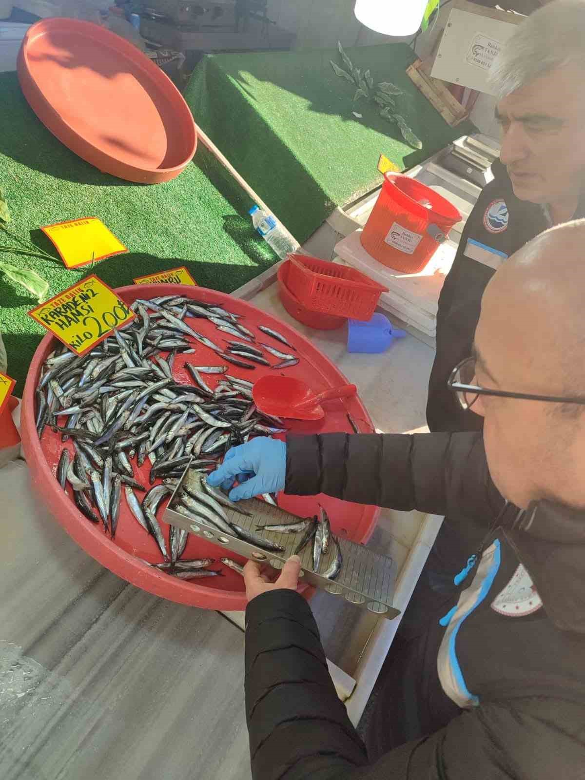 Balık tezg&acirc;hları yakın takipte
