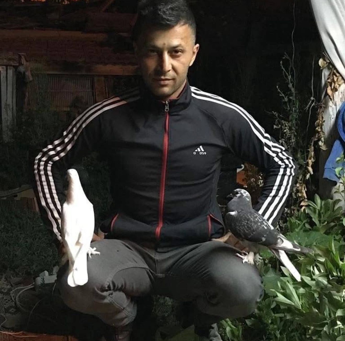 K&uuml;tahya&rsquo;da g&uuml;vercinlerini kontrol etmek isterken enkaz altında kaldı
