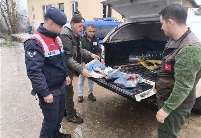 Kırklareli’de yasa dışı karaca avına ağır ceza
