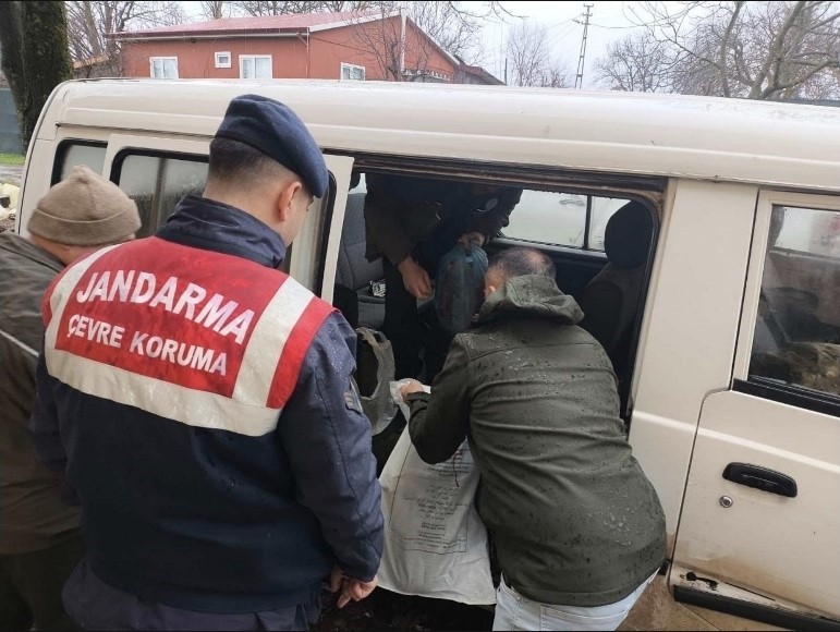 Kırklareli&rsquo;de yasa dışı karaca avına ağır ceza
