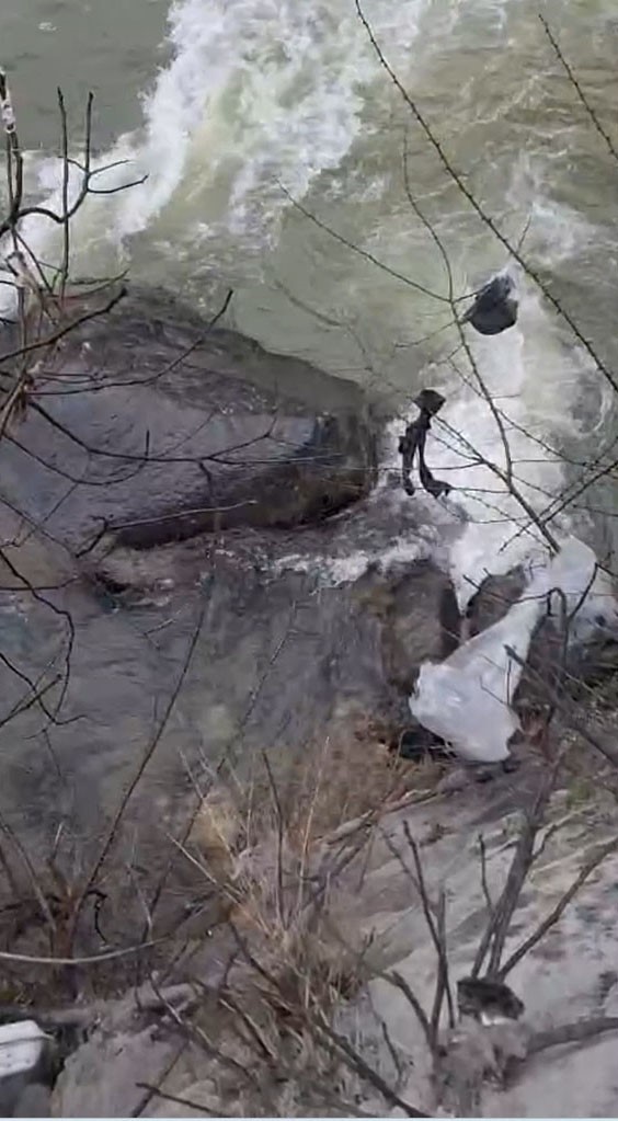 Dereli’de derede mahsur kalan köpek belediye ekiplerince kurtarıldı