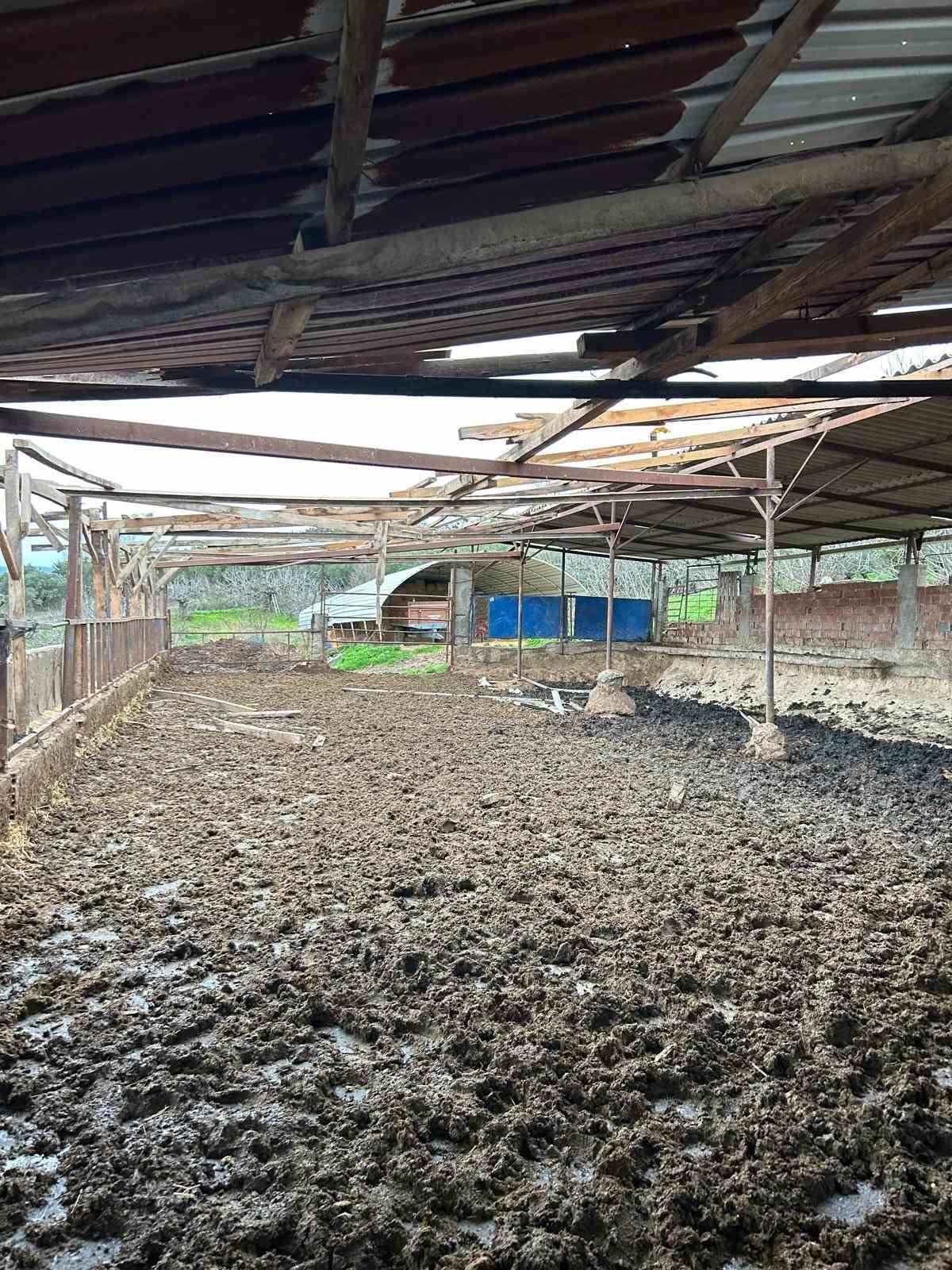 Mudanya&rsquo;da lodos ve yangın paniği
