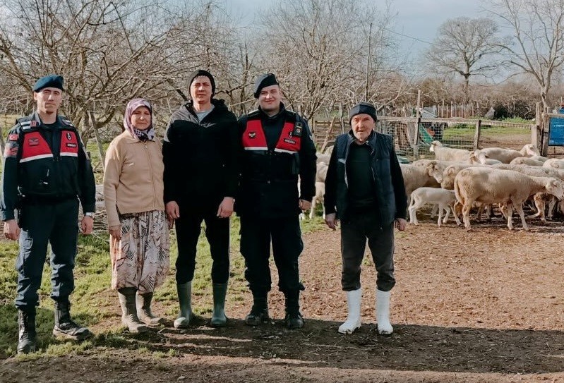&Ccedil;anakkale&rsquo;de kaybolan 24 k&uuml;&ccedil;&uuml;kbaş hayvan jandarma tarafından bulundu

