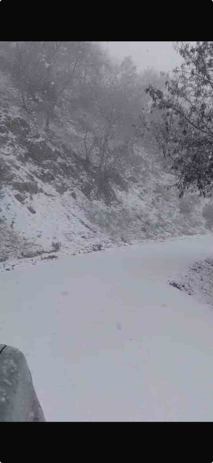 Yazın yanan orman sahası beyaza büründü