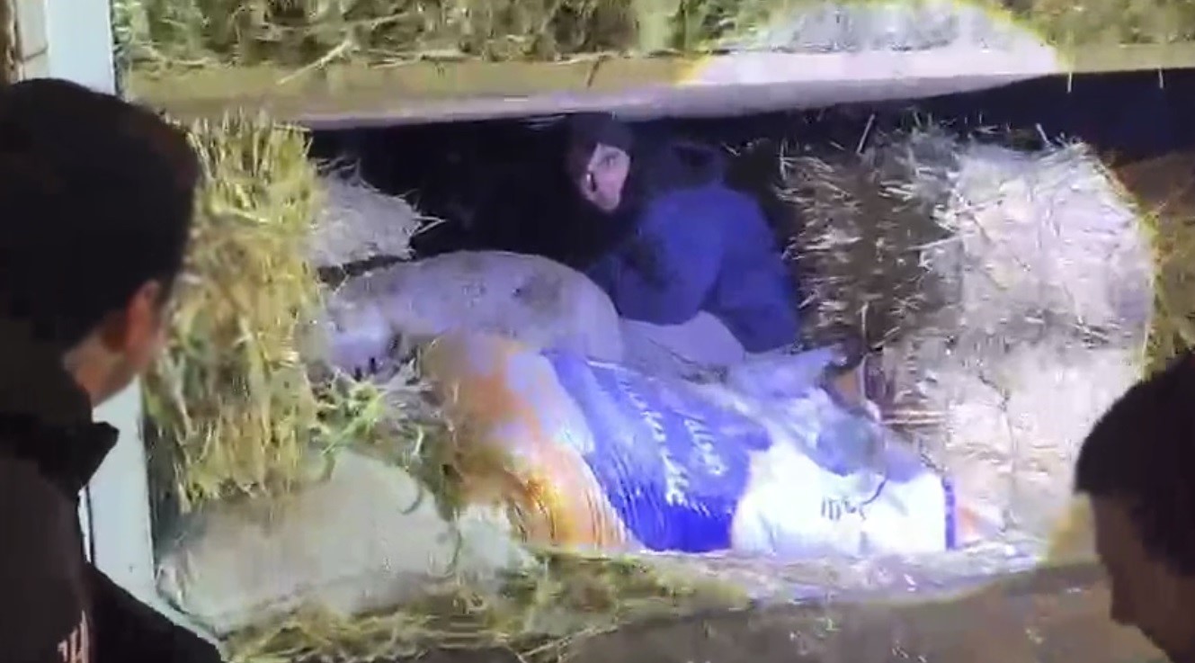 Kars&rsquo;ta saman balyaları arasından ka&ccedil;ak g&ouml;&ccedil;men &ccedil;ıktı: 1 tutuklama
