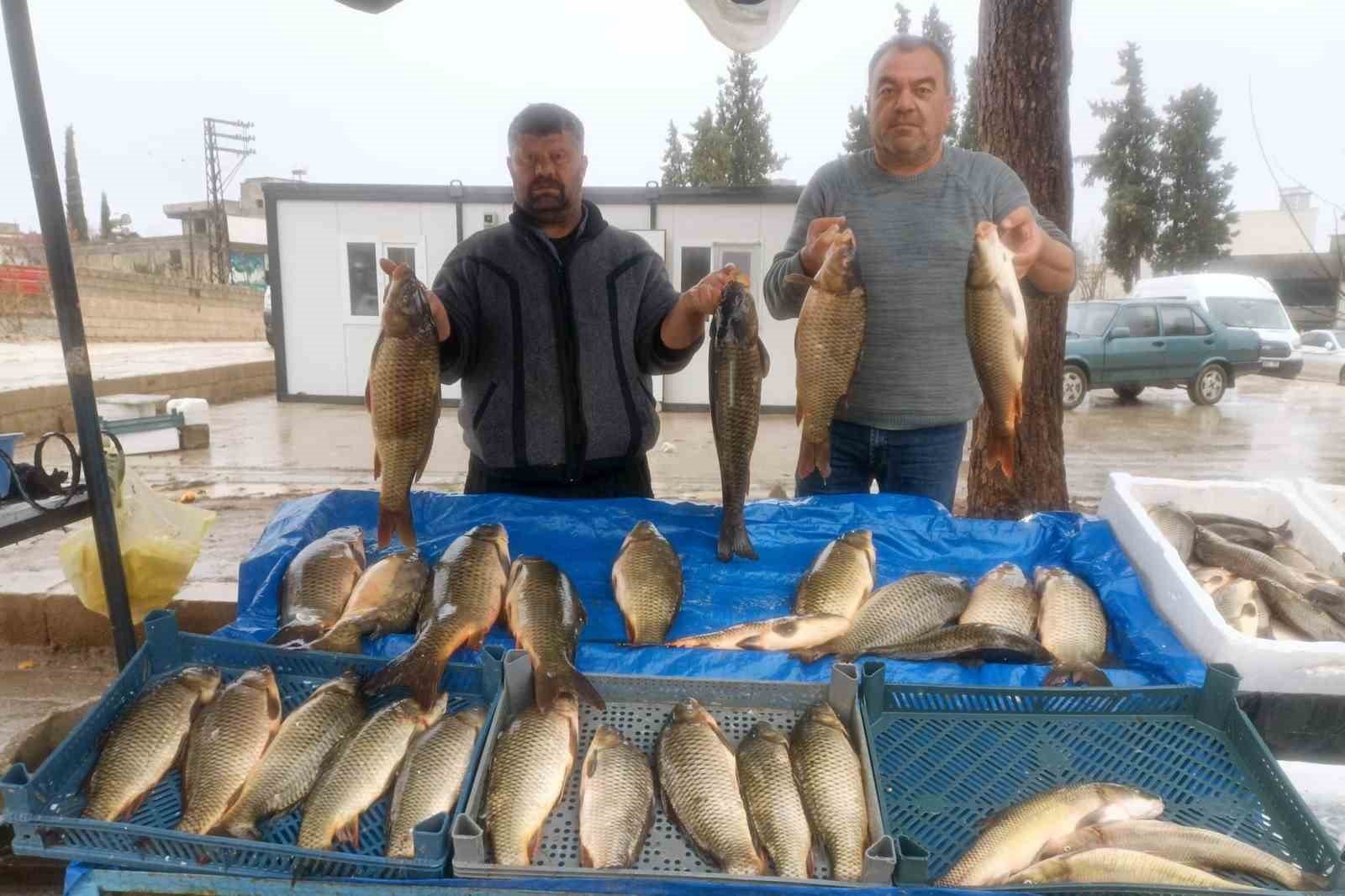 Araban&rsquo;da soğuk hava balığa talebi artırdı