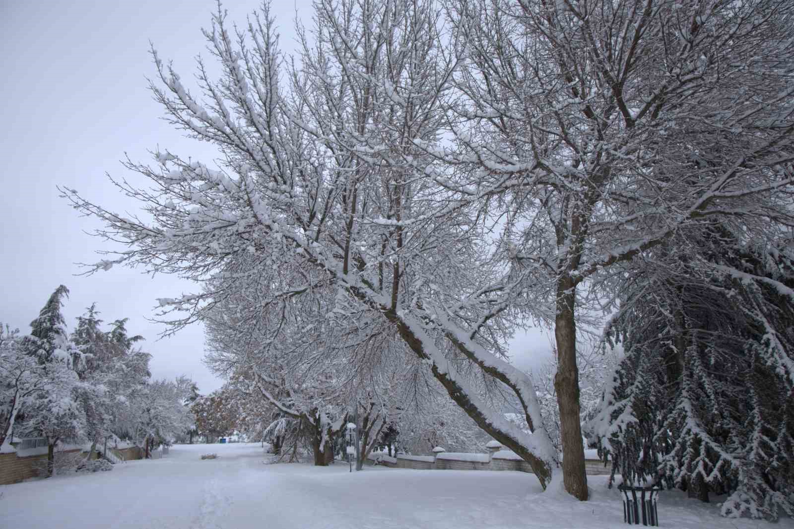 Yoğun kar yağışı Harput&rsquo;ta &ccedil;ok sayıda ağacın dallarını kırdı
