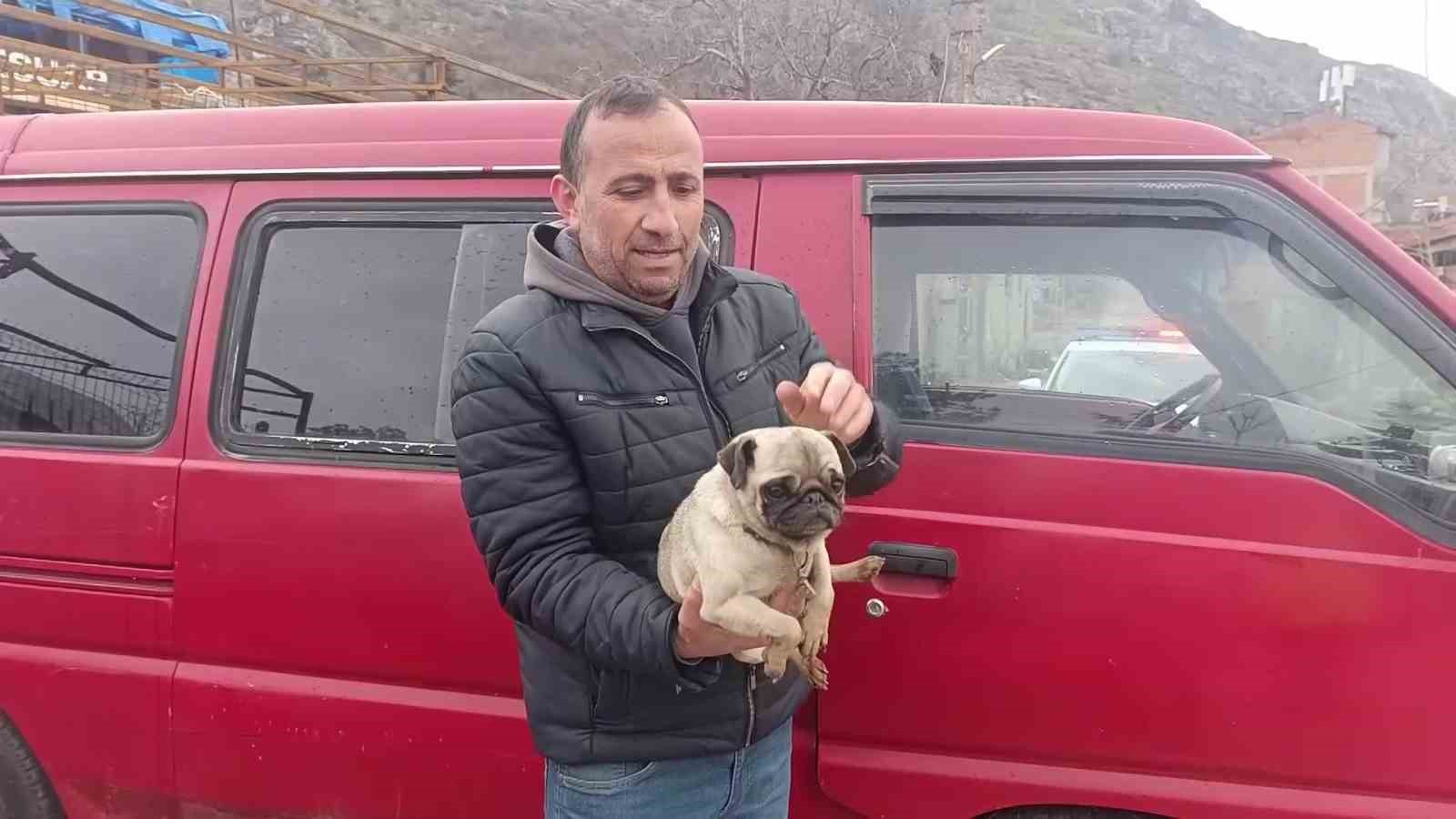 Amasya’da yangında mahsur kalan köpeği muhtar kurtardı