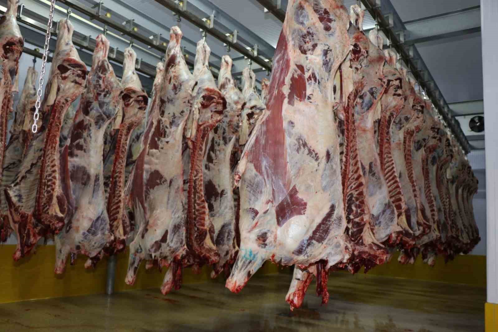 B&uuml;y&uuml;kşehir mezbahasında 6 bin 29 kesim yapıldı
