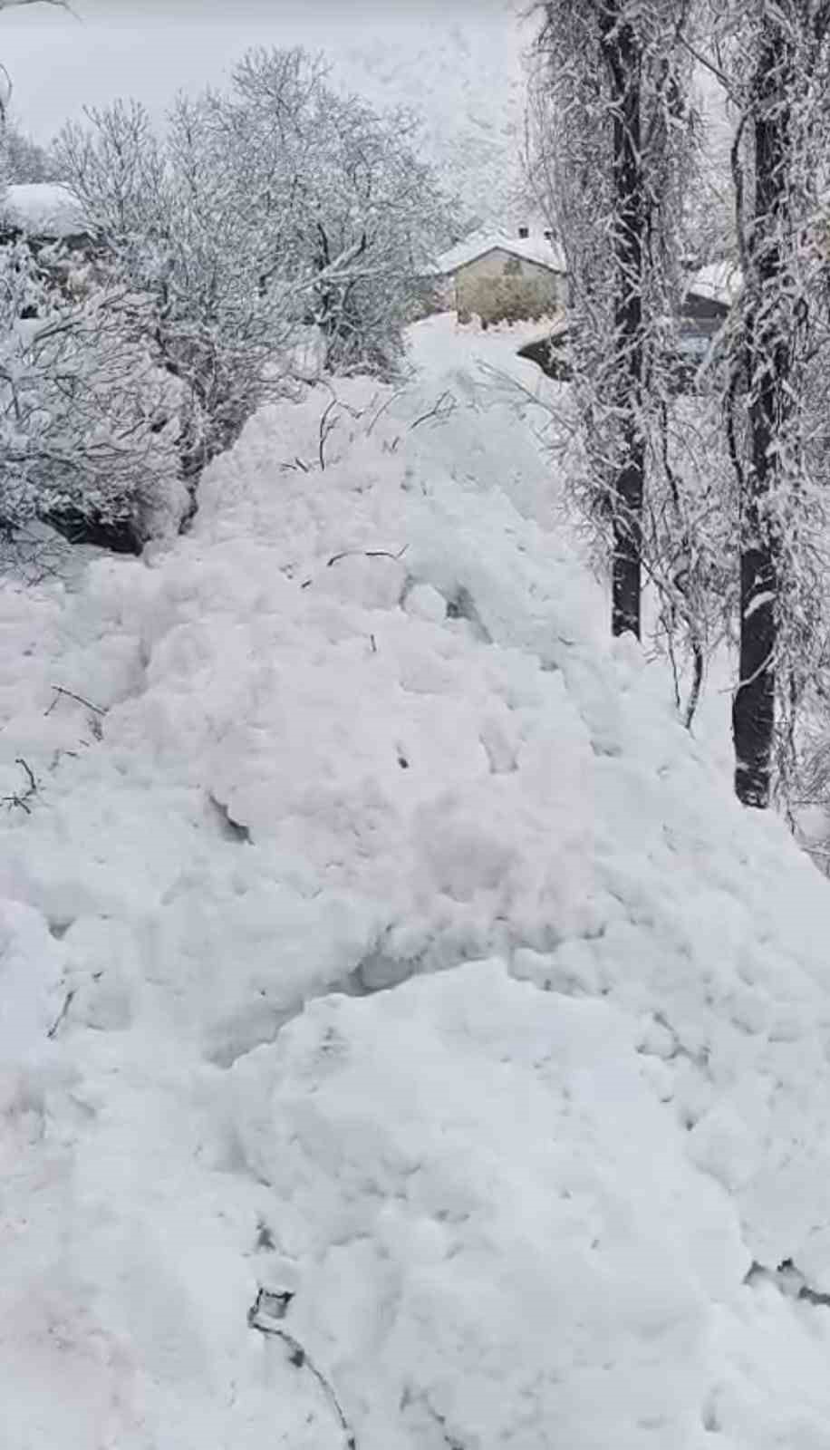 Y&uuml;ksekova&rsquo;da &ccedil;ığ yerleşim yerine indi: Facianın eşiğinden d&ouml;n&uuml;ld&uuml;
