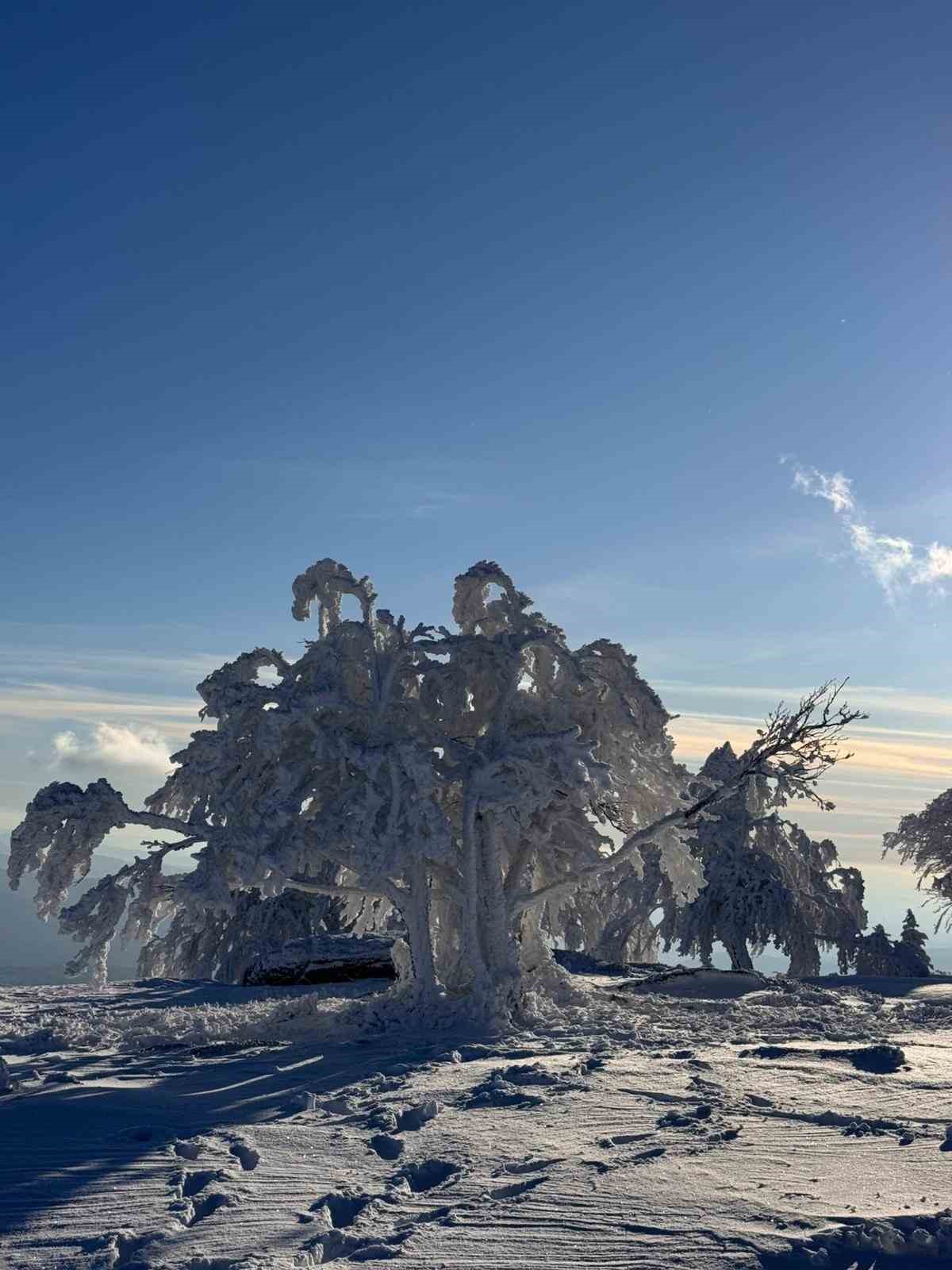 Sibirya değil Çataldağ