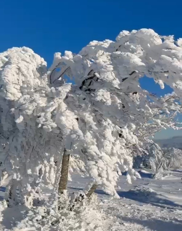 Sibirya değil &Ccedil;ataldağ
