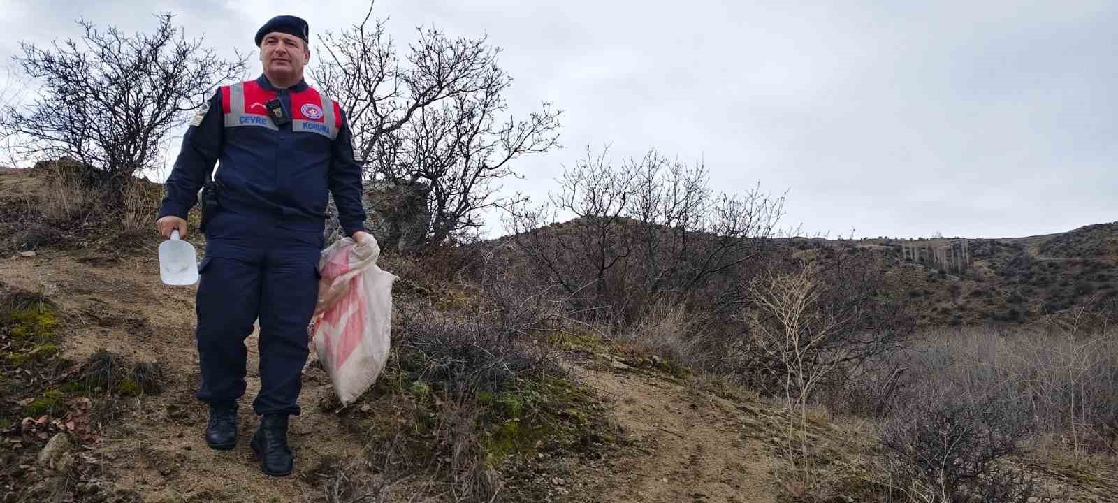 Jandarma ekipleri doğadaki canlıları unutmadı