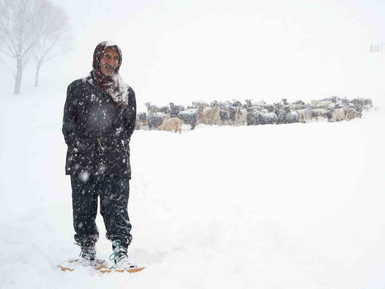 Ke&ccedil;i s&uuml;r&uuml;s&uuml; 4 saatlik zorlu yolculukla k&ouml;ye ulaştırıldı
