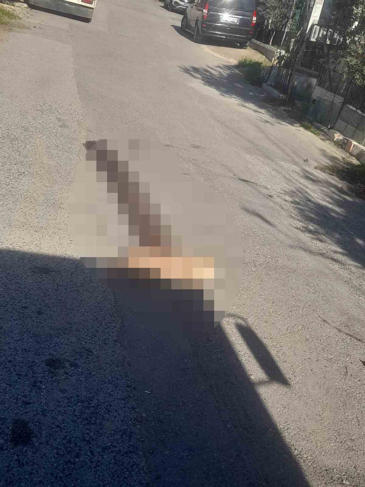 Yerde yatan k&ouml;peği ezip yoluna devam etti
