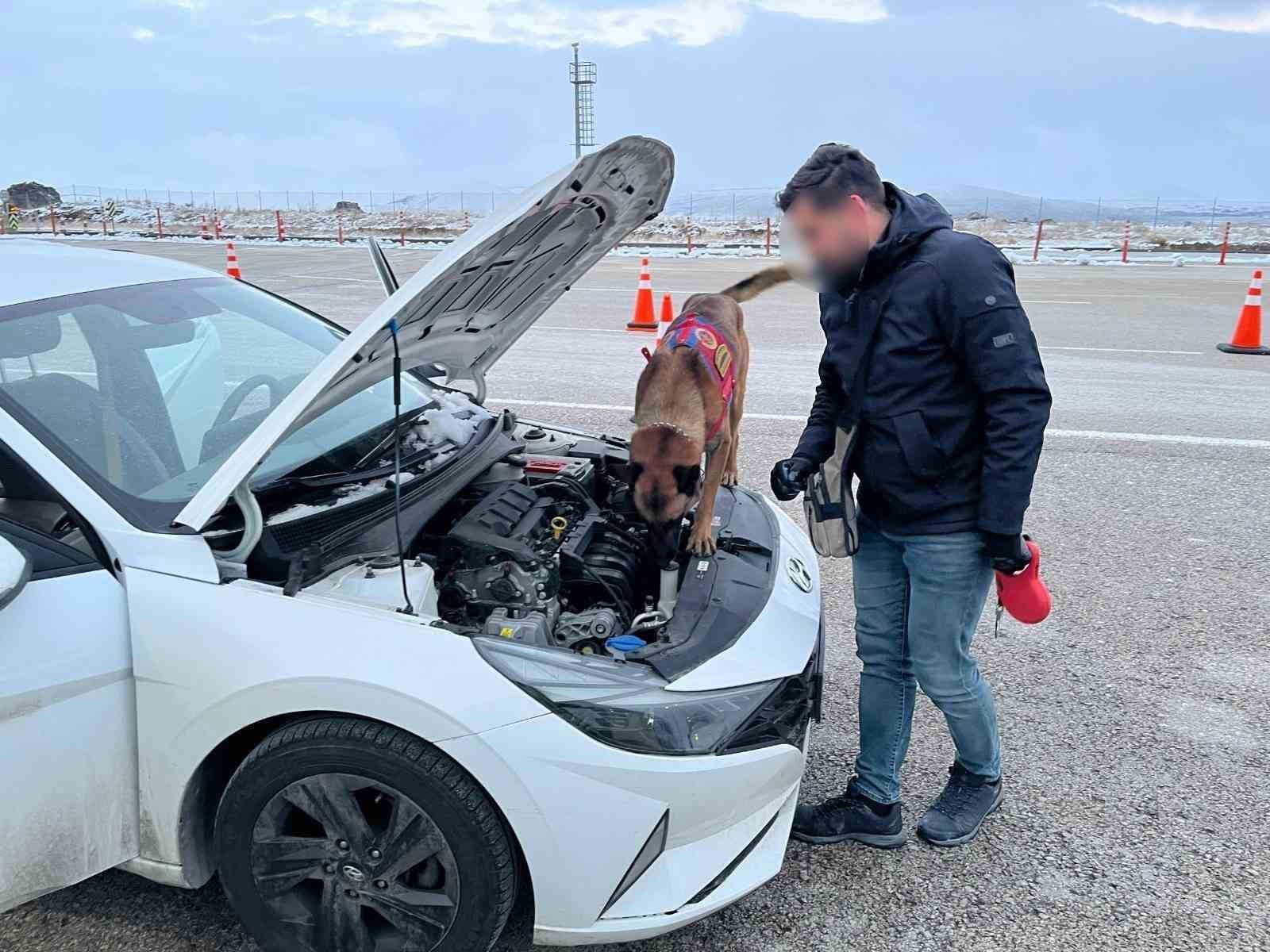 Uyuşturucu tacirleri, narkotik köpeğinden kaçamadı