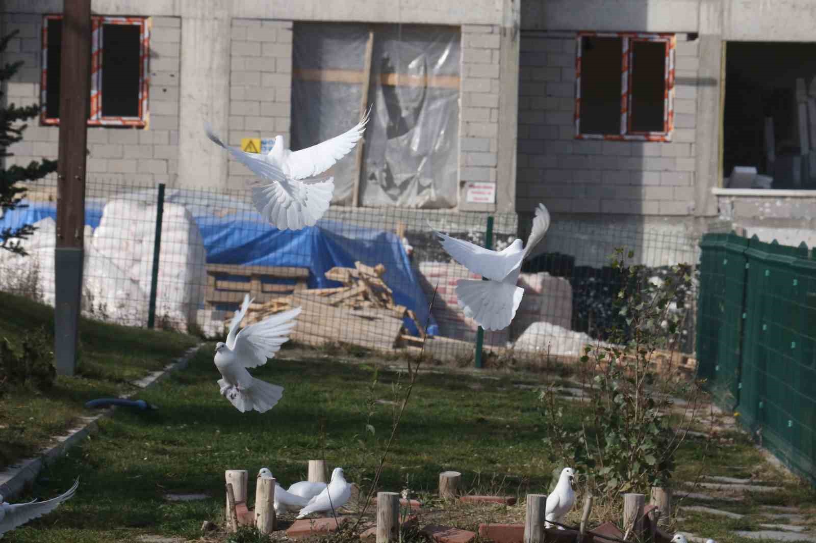 Endemik Vadi&rsquo;de Ankara&rsquo;nın 4 beyazı
