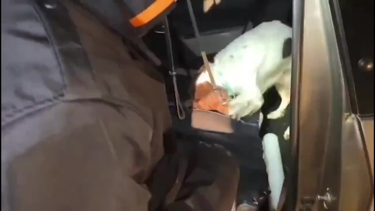 Denizli’de arama yapılan araçta 1,5 kilogram metamfetamin ele geçirildi