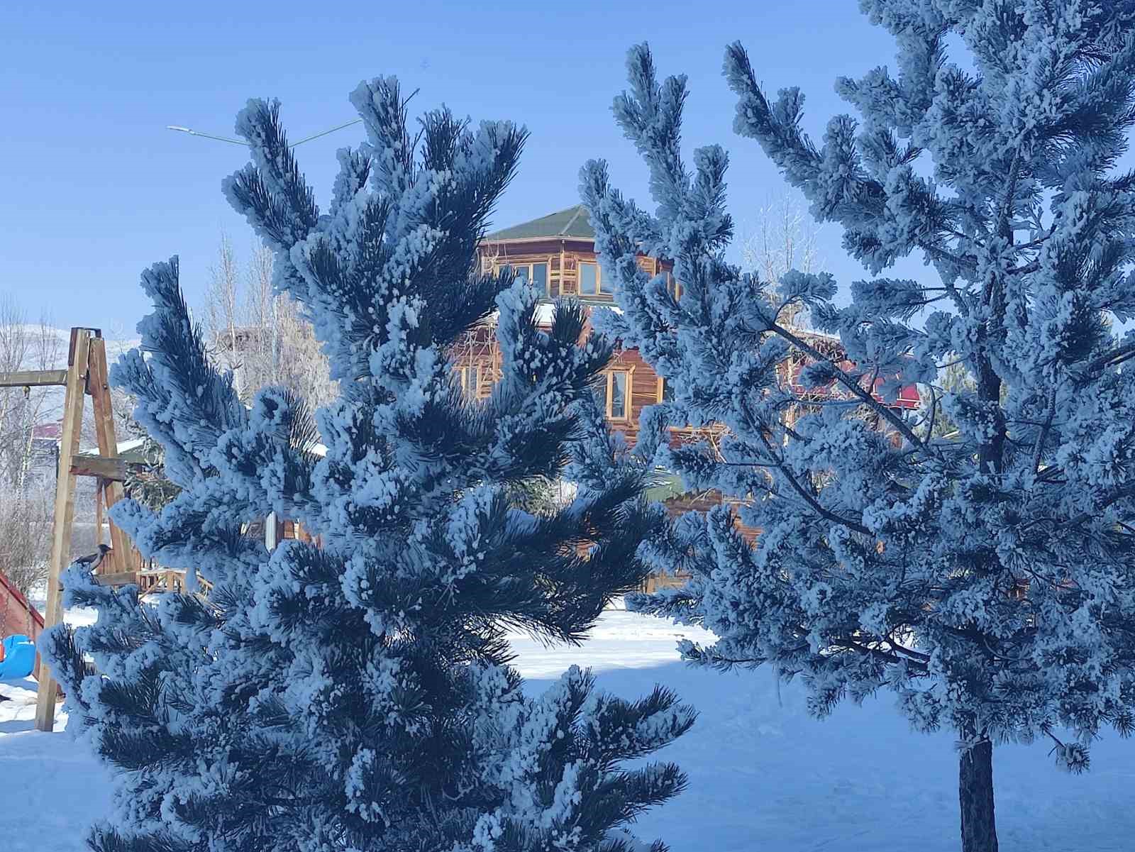 Ardahan&rsquo;da dondurucu soğuklar etkili oldu
