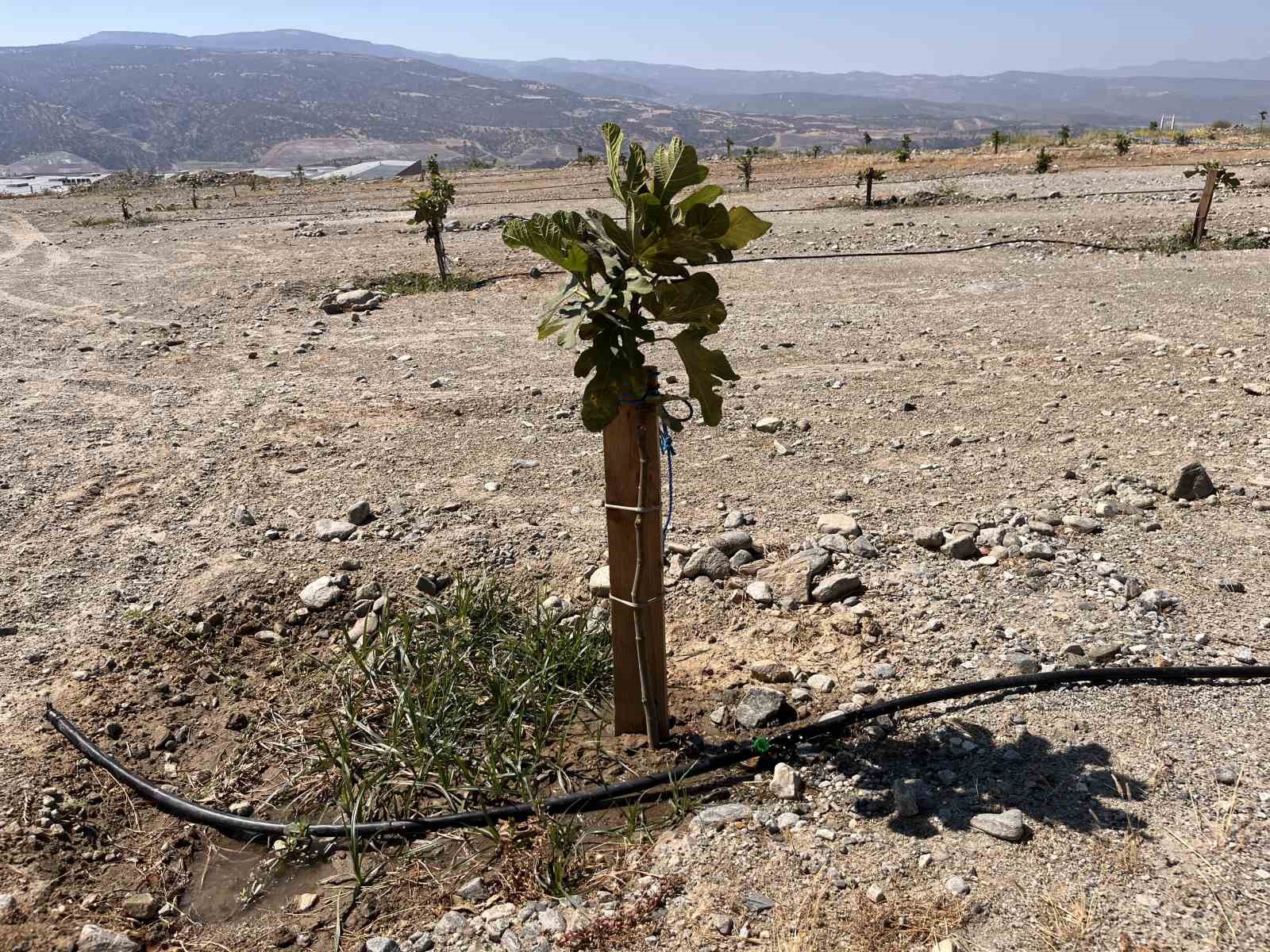 Aydın&rsquo;ın İlek Bah&ccedil;eleri 21 Ocak&rsquo;ta t&ouml;renle hizmete a&ccedil;ılıyor
