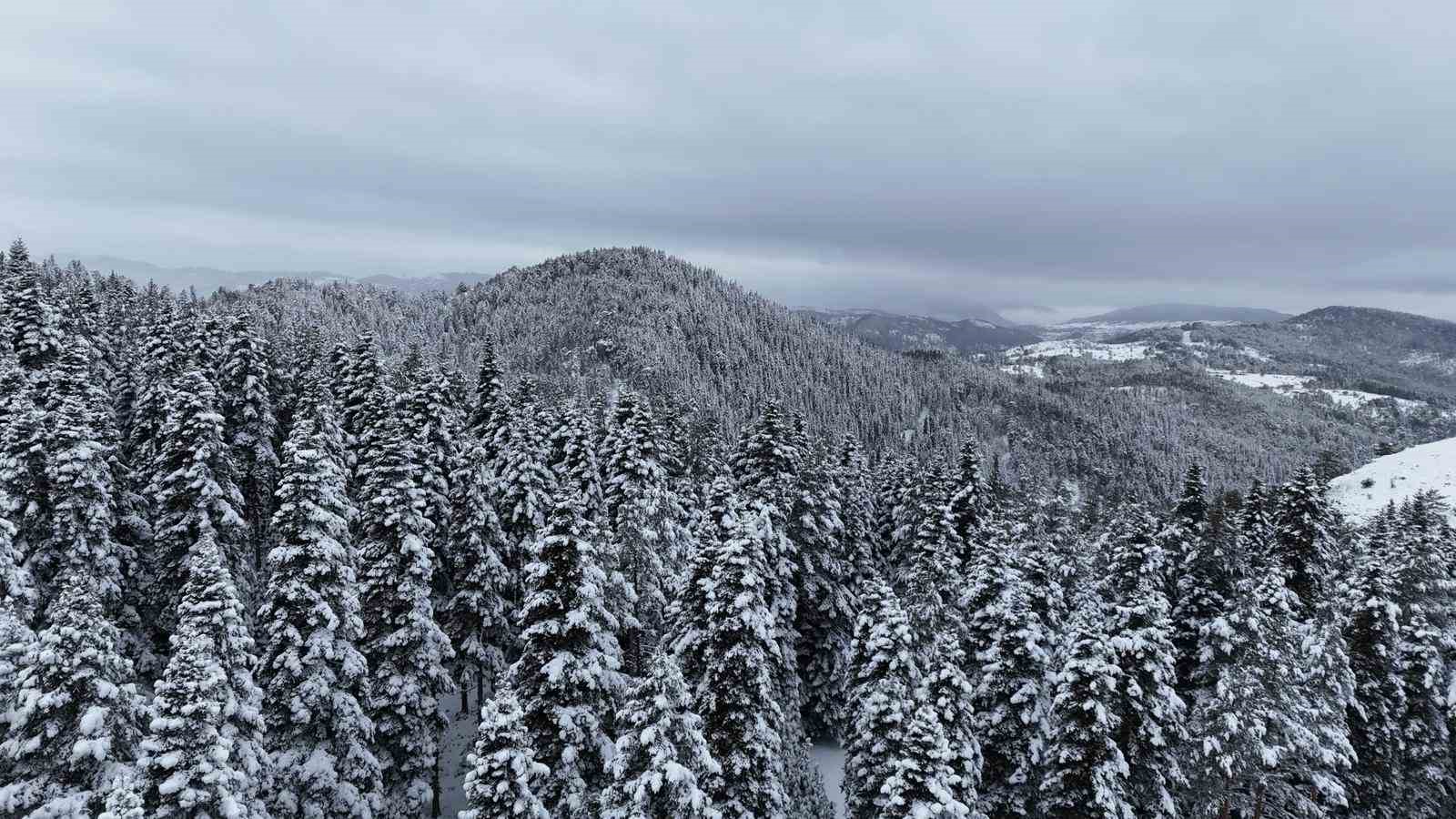 Kastamonu ormanlarında kış g&uuml;zelliği
