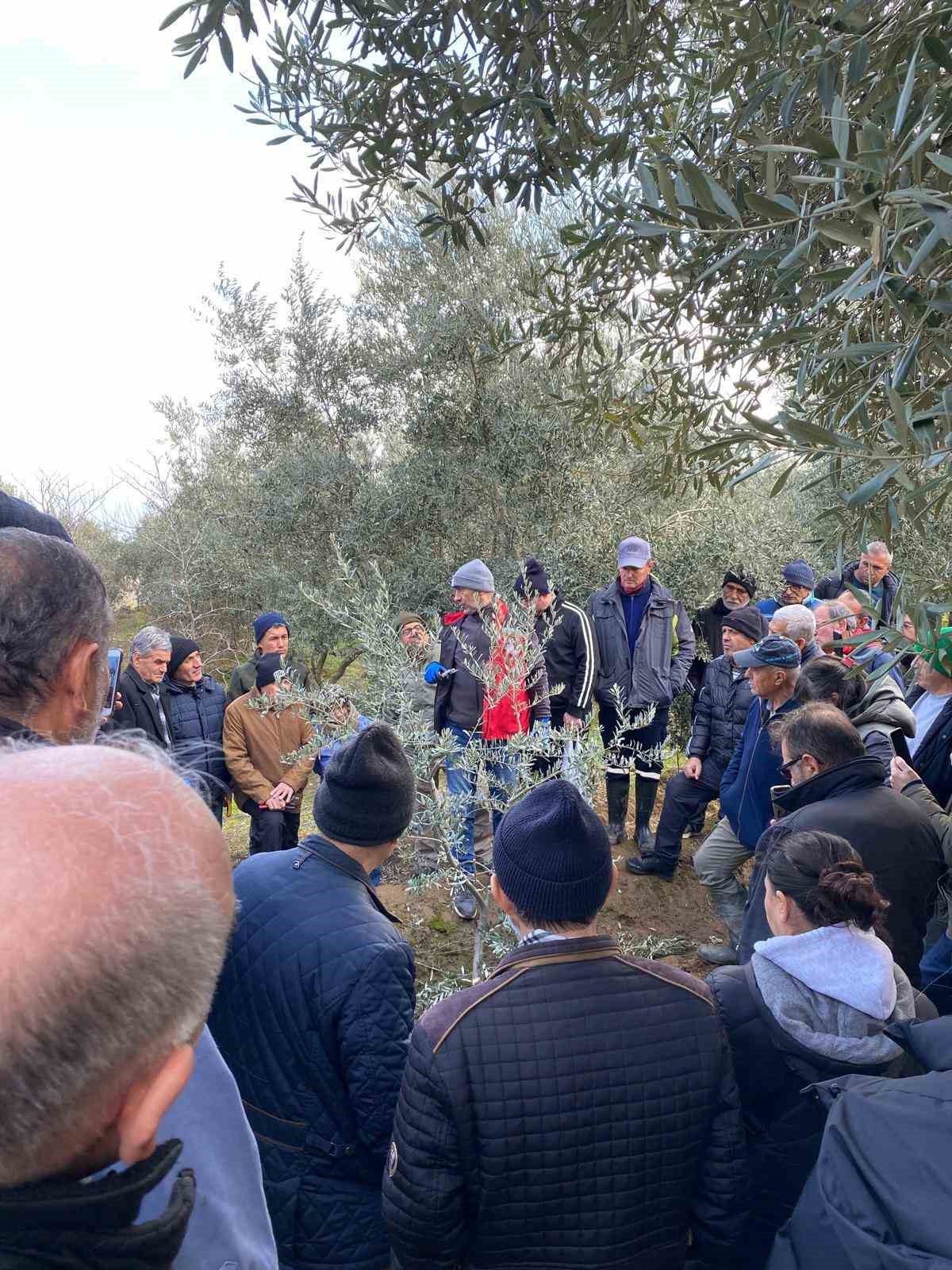 Salihli&rsquo;de &uuml;reticilere &uuml;cretsiz budama kursuna yoğun ilgi
