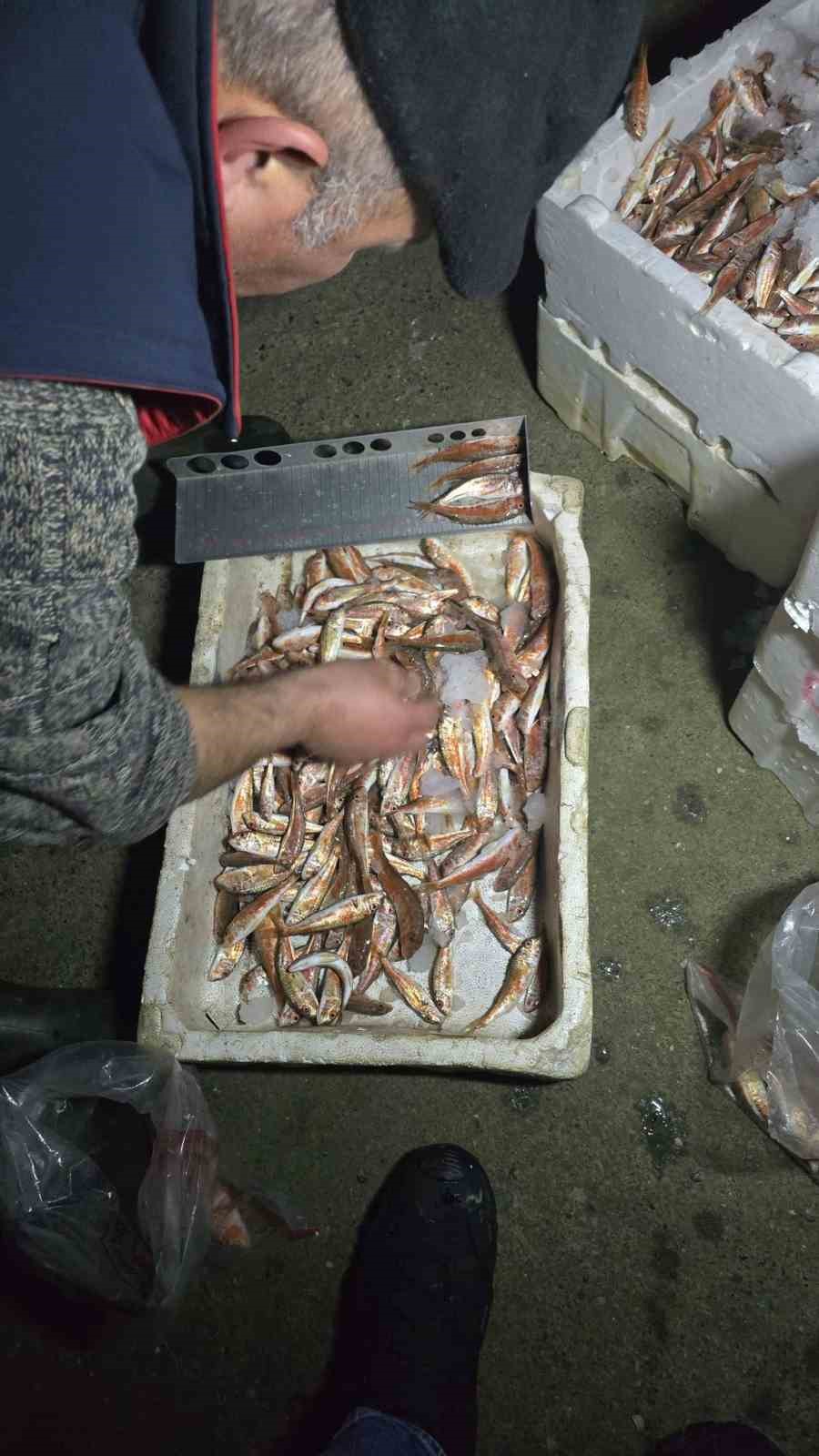 Kastamonu&rsquo;da usuls&uuml;z avlanan 1 ton 335 kilogram balığa el konuldu
