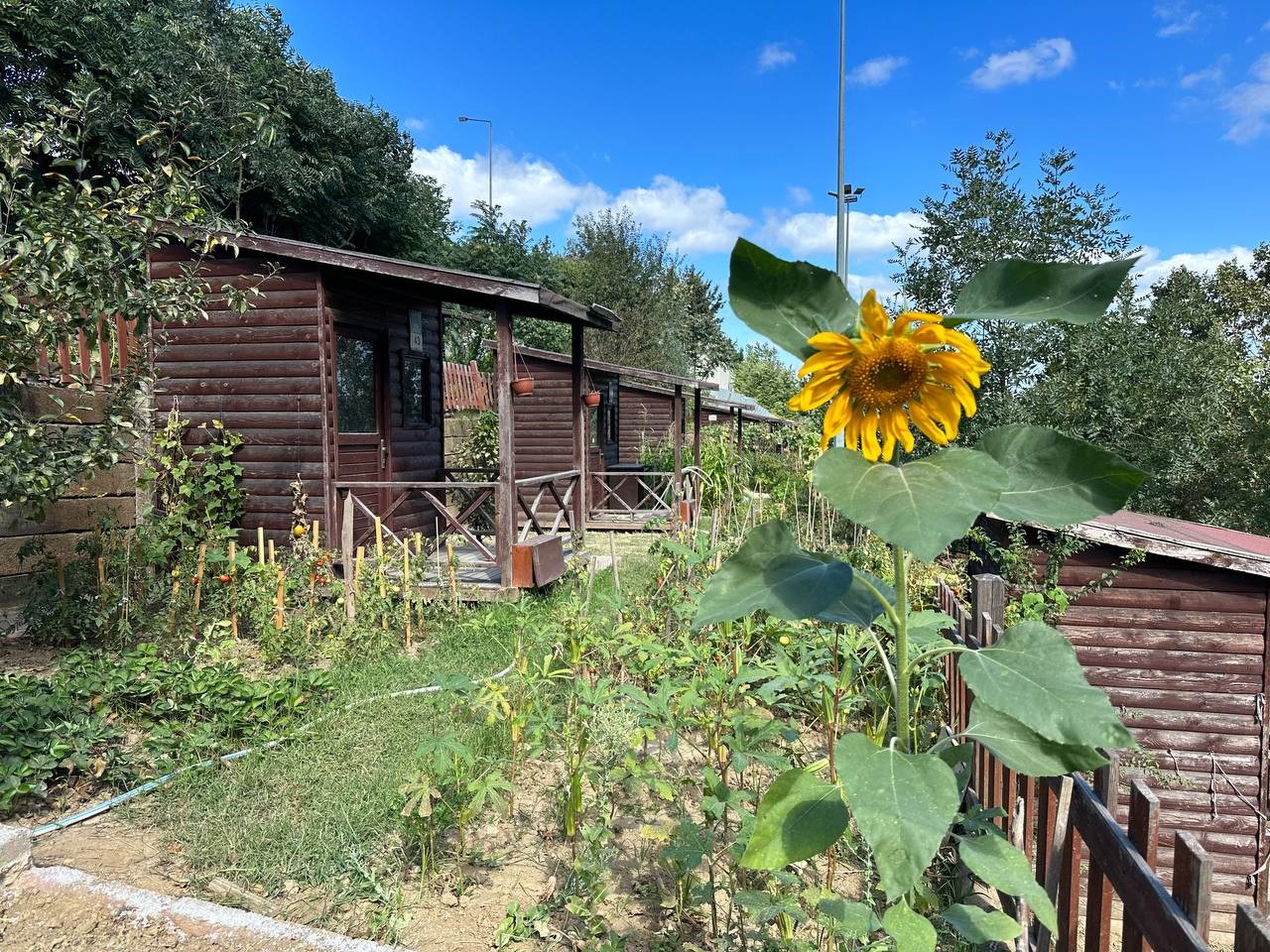 Kağıthane Belediyesi 2026 Hobi Bah&ccedil;eleri i&ccedil;in başvuruları başlattı
