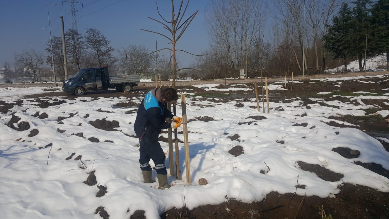 Başiskele&rsquo;de yeşil alan &ccedil;alışmaları devam ediyor
