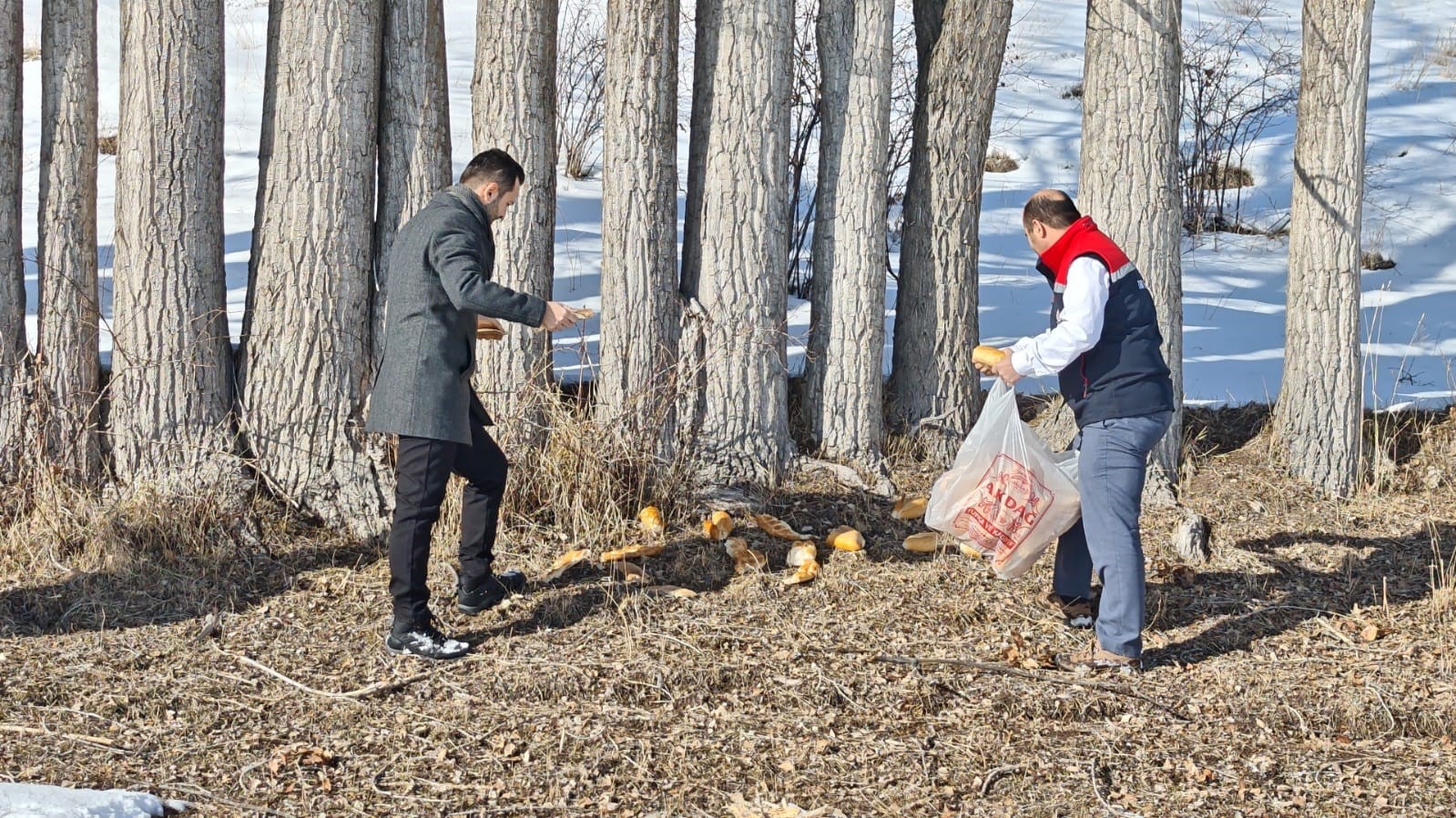 Aşkale&rsquo;de yaban hayatı i&ccedil;in doğaya yem bırakıldı
